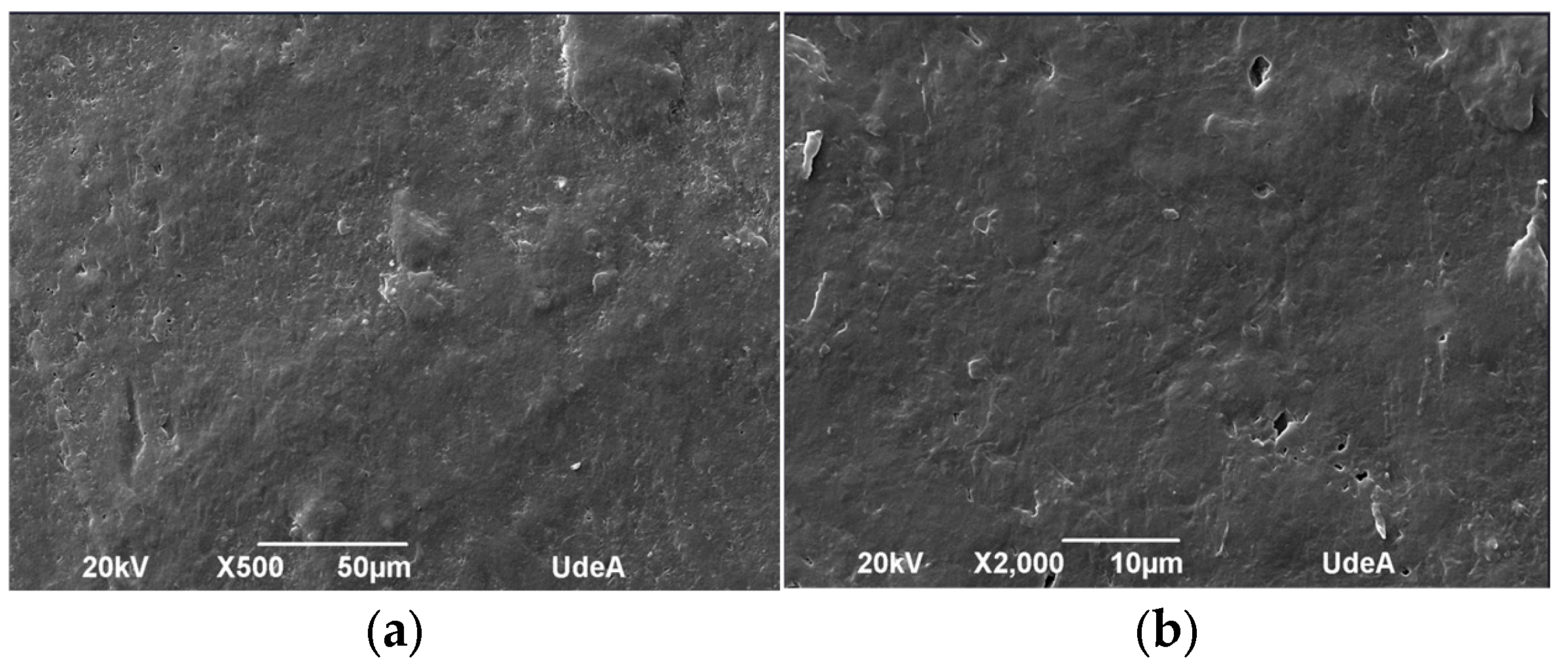 Polymers 17 01842 g011a