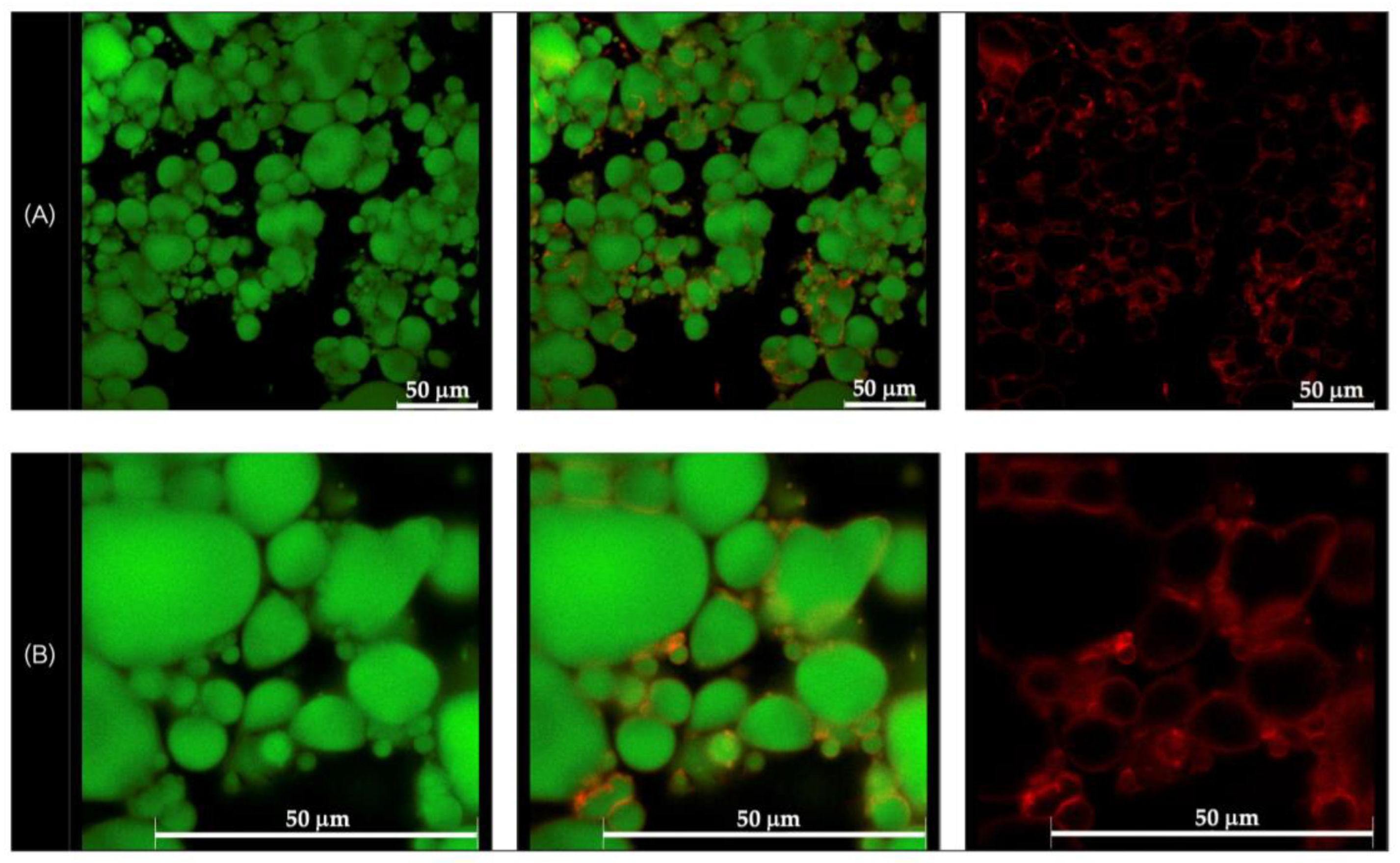 Polymers 17 01871 g004