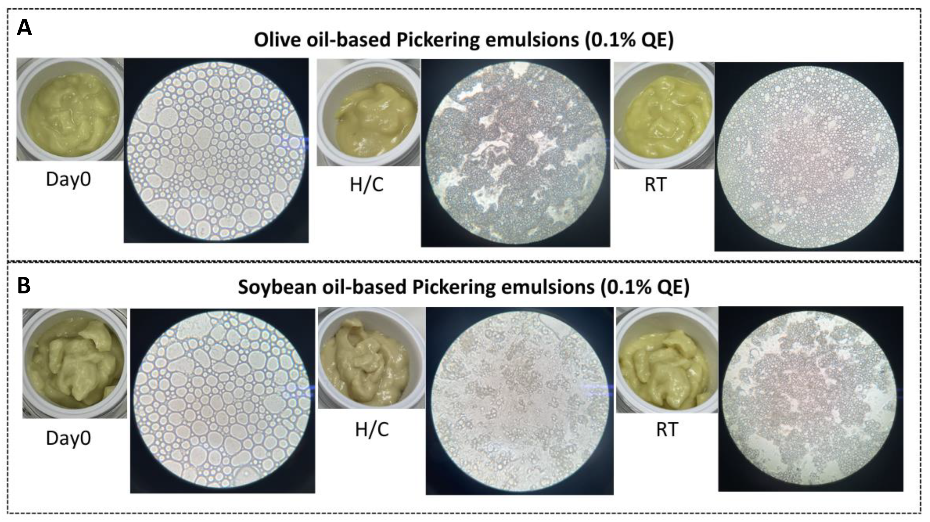 Polymers 17 01871 g006