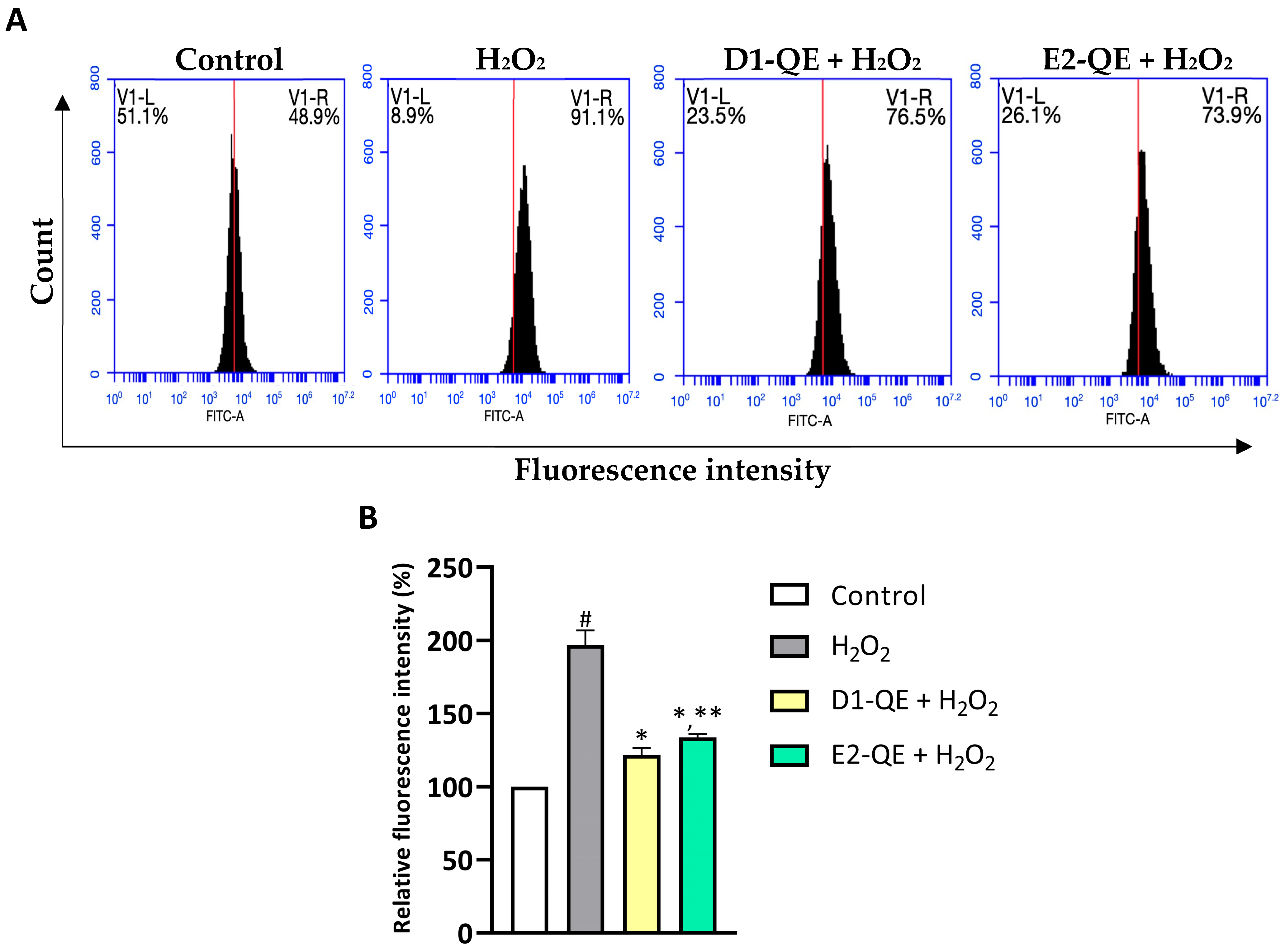 Polymers 17 01871 g012
