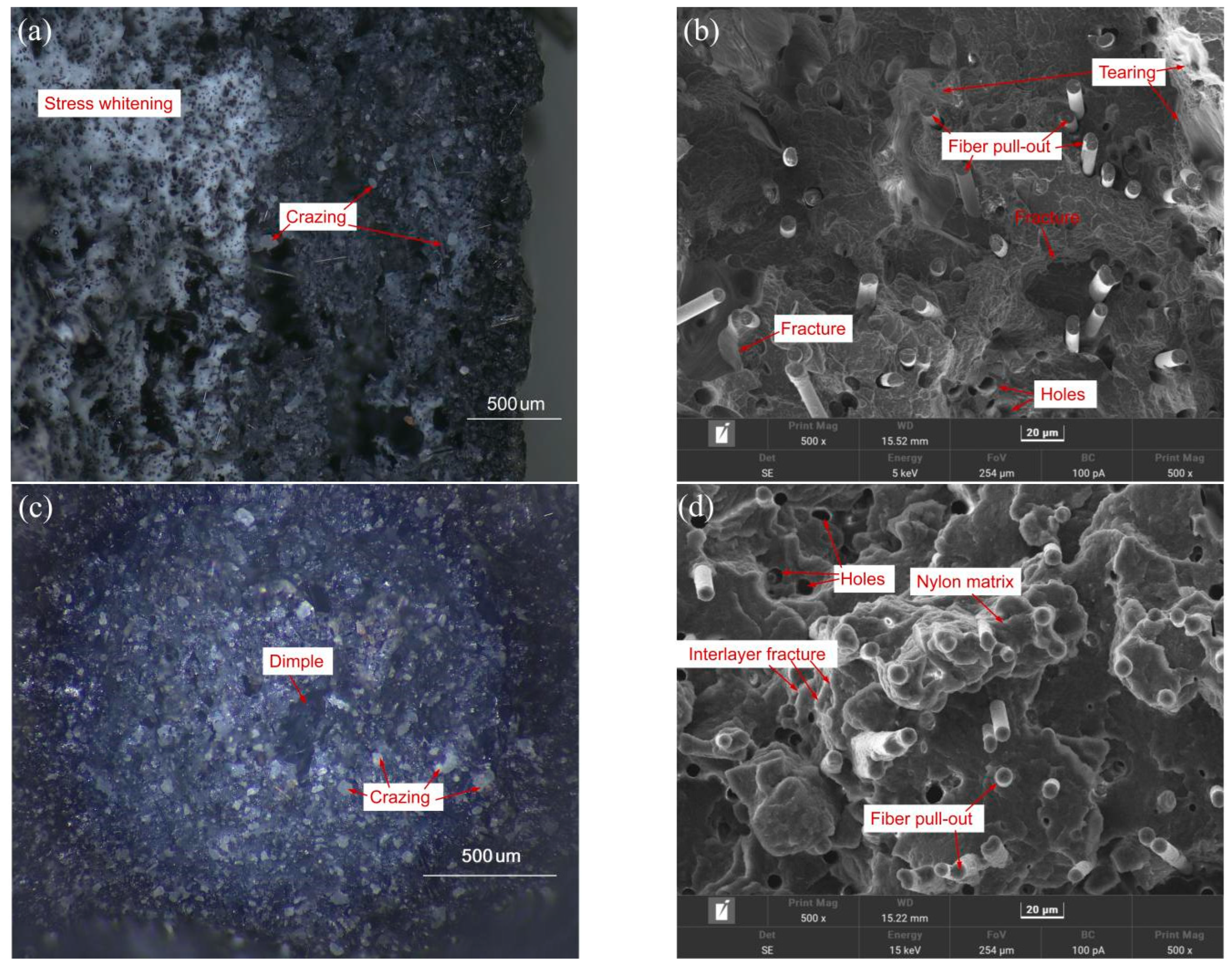 Polymers 17 01872 g011 Polymers 17 01872 g011