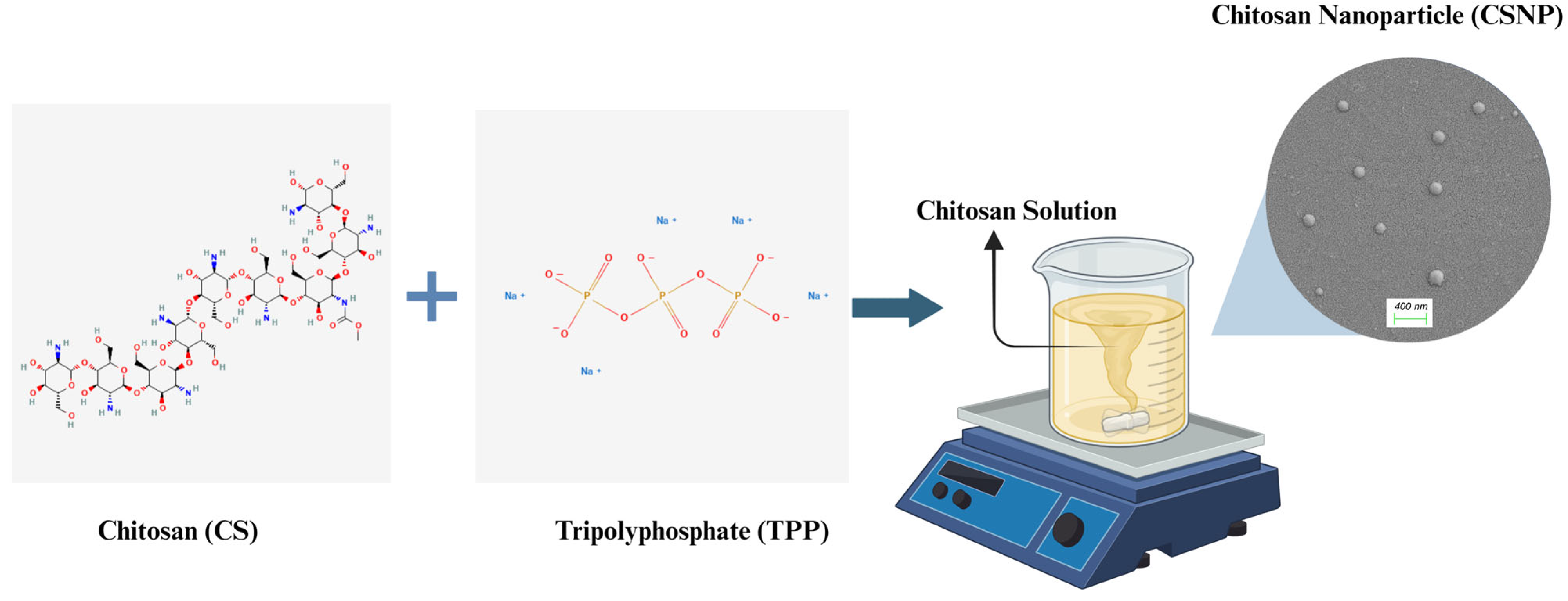 Polymers 17 01884 g001