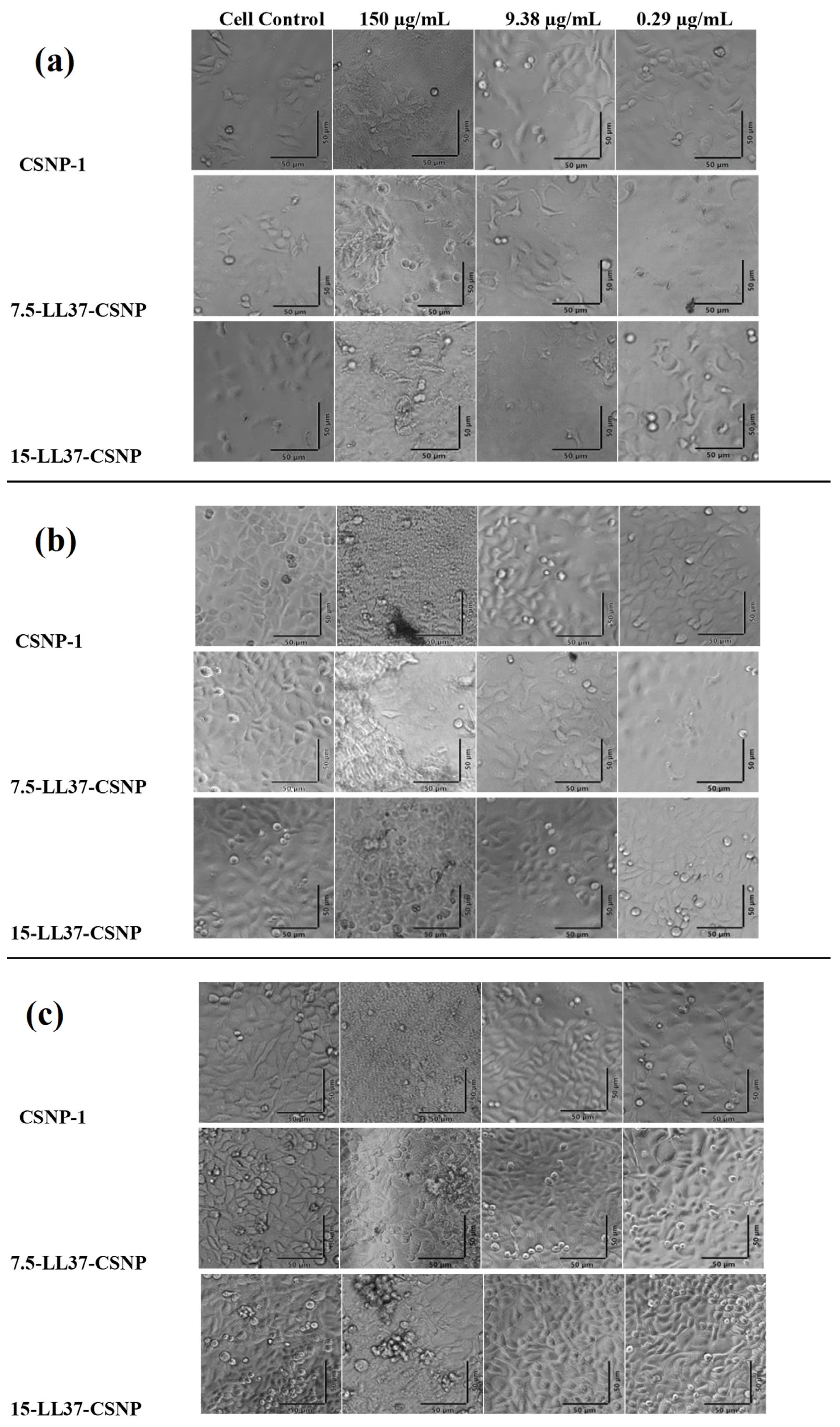 Polymers 17 01884 g005