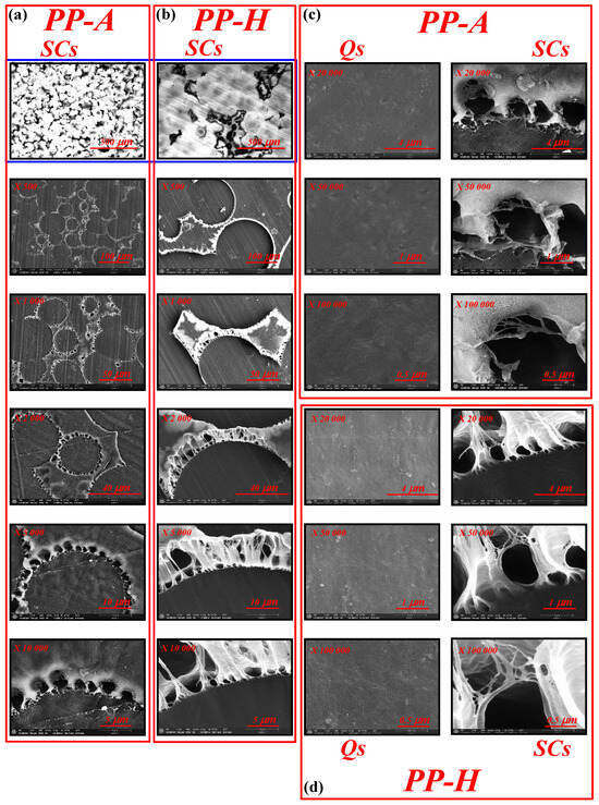 Structure–Property Relationship in Isotactic Polypropylene Under ...