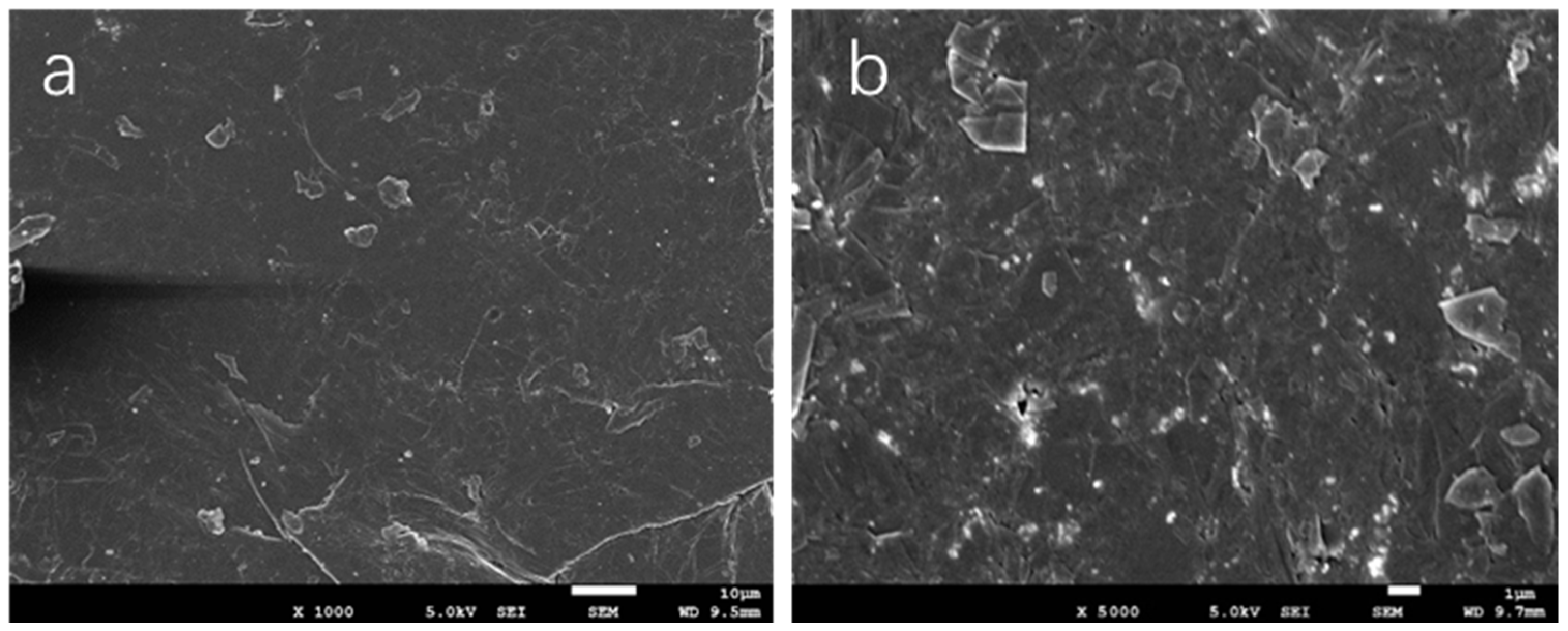 Polymers 17 01922 g002