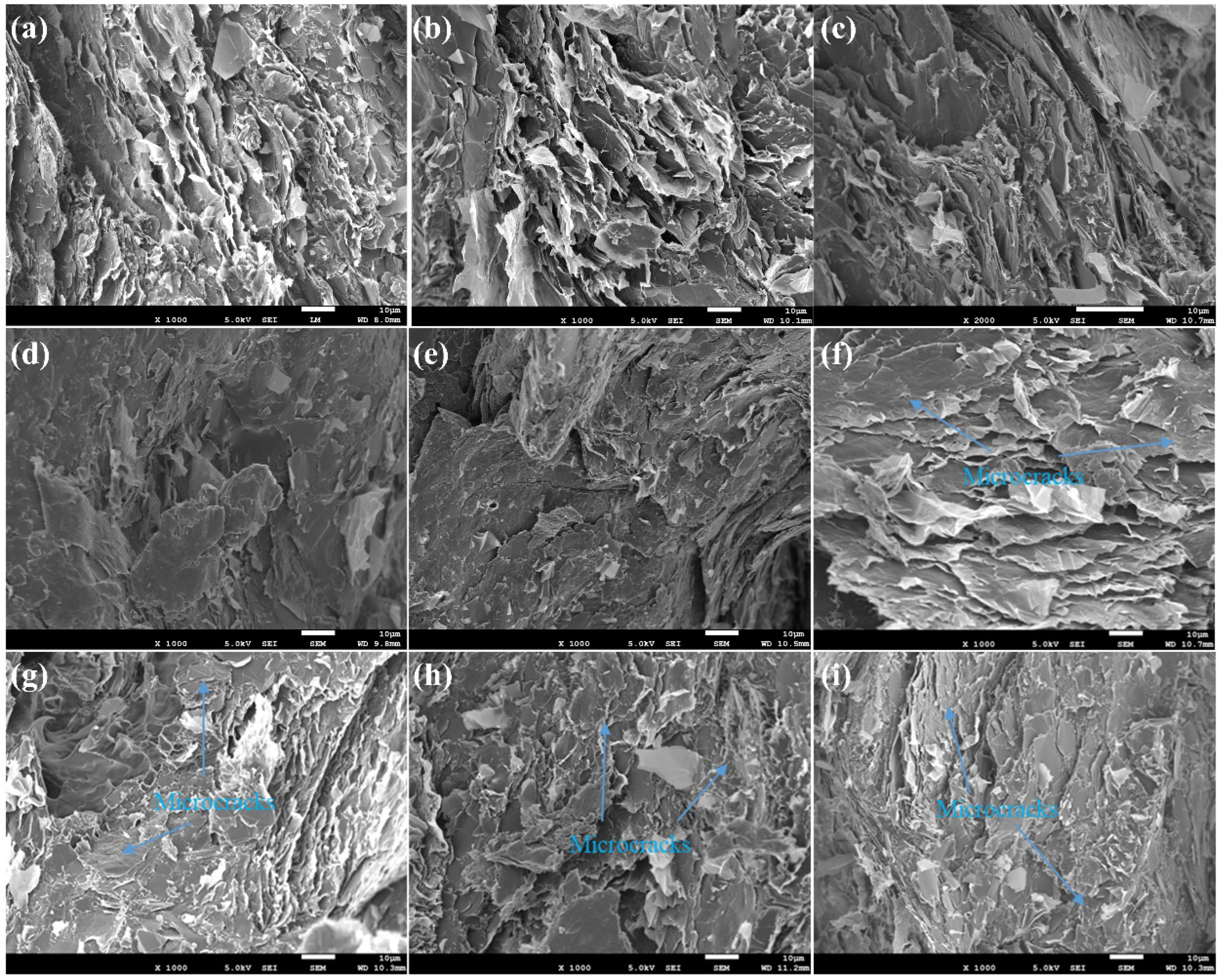Polymers 17 01922 g008