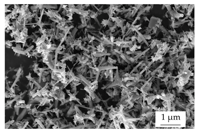 Polymers 17 01924 i004