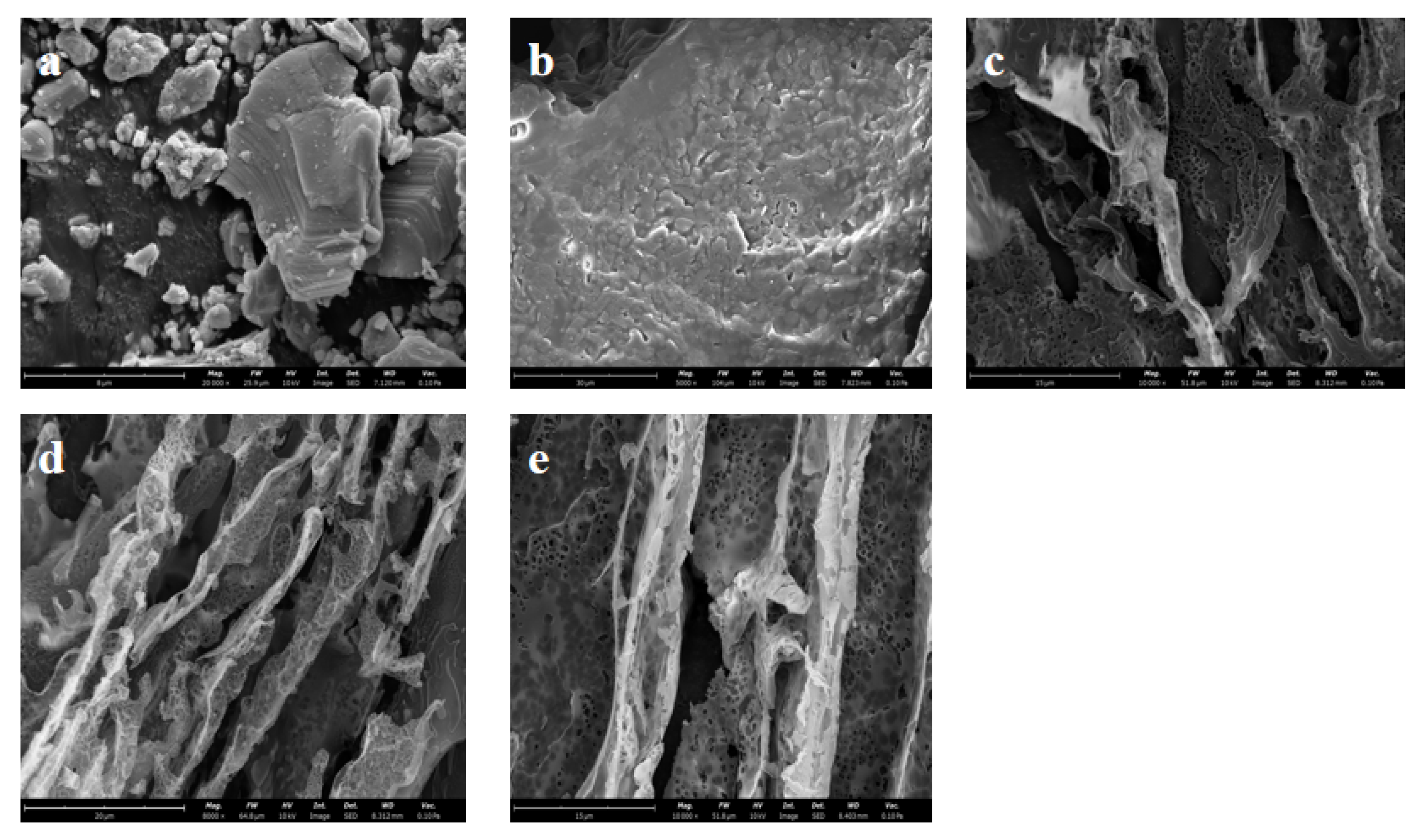 Polymers 17 01949 g006