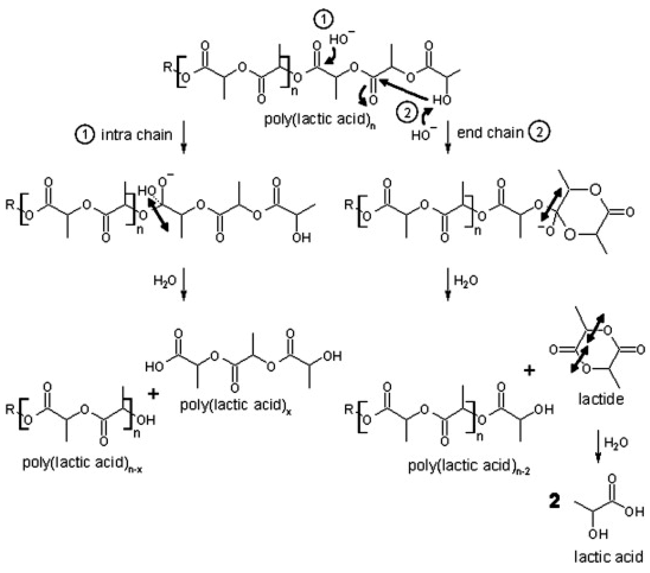 Polymers 17 01981 g002