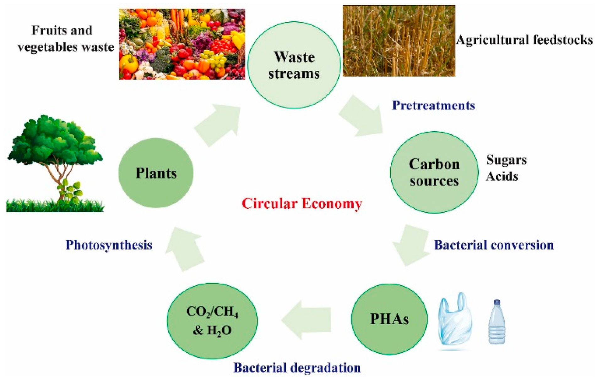 Polymers 17 01981 g003