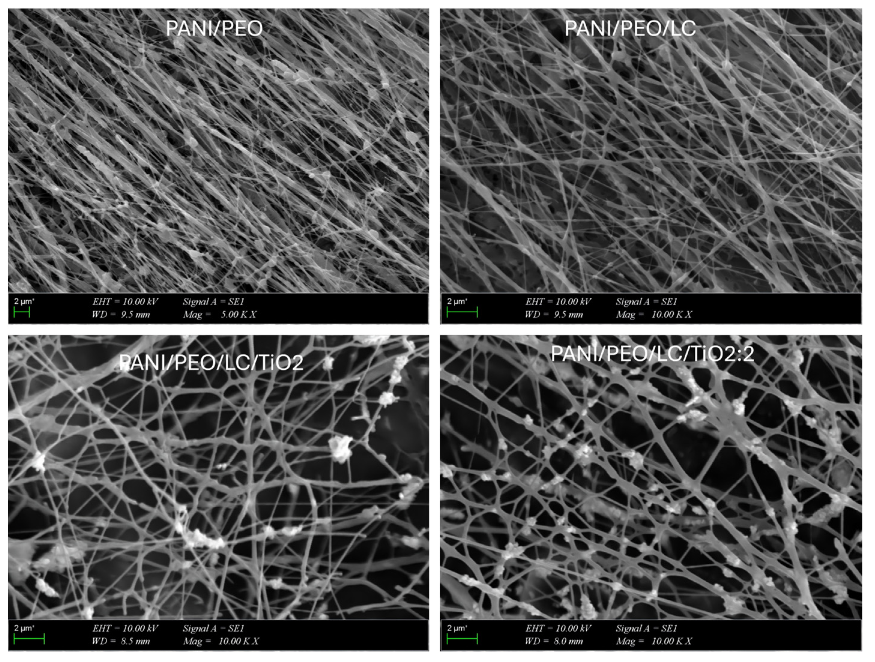 Polymers 17 01989 g004