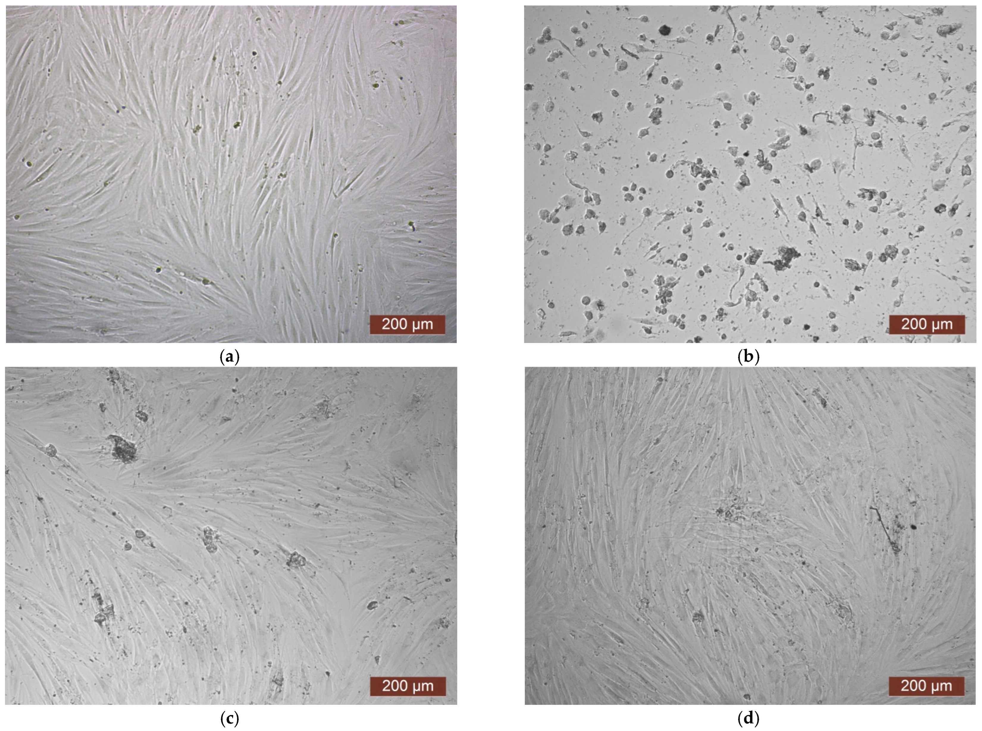 Polymers 17 02002 g010 Polymers 17 02002 g010