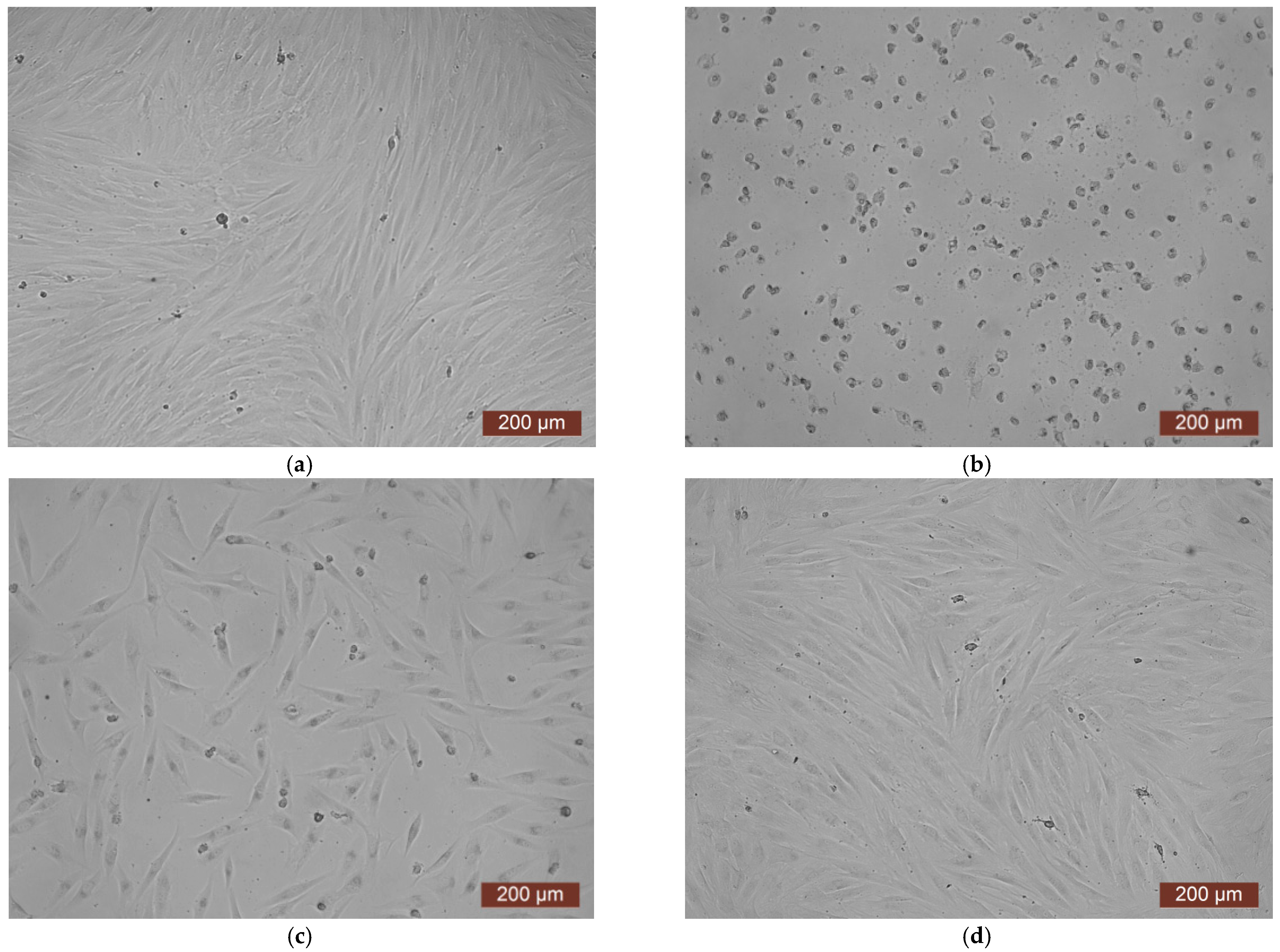 Polymers 17 02002 g012 Polymers 17 02002 g012