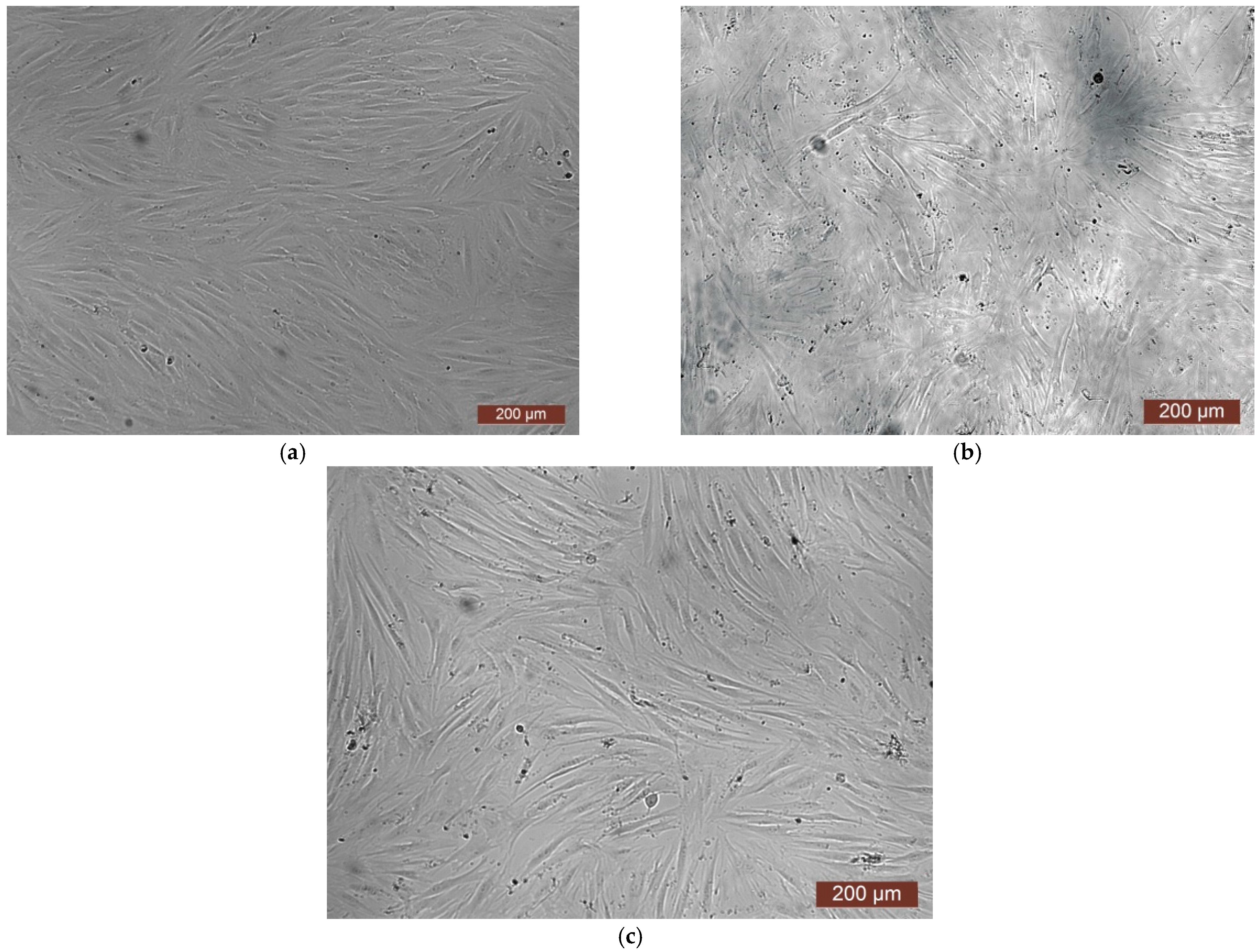 Polymers 17 02002 g014 Polymers 17 02002 g014