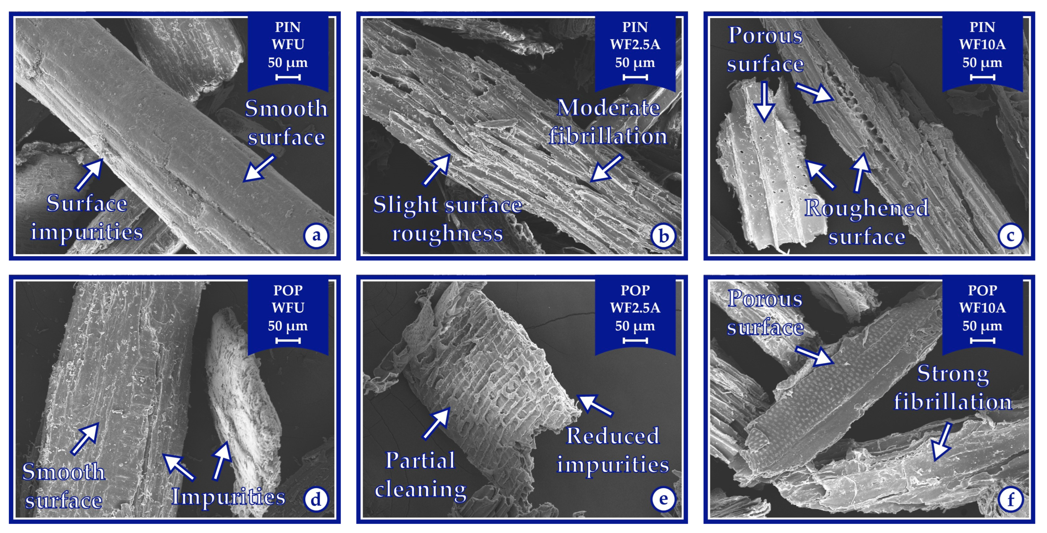 Polymers 17 02004 g008