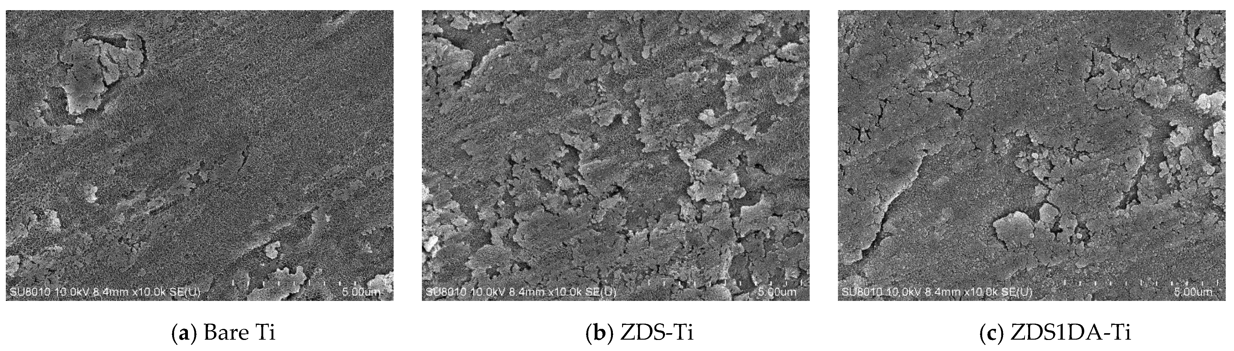 Polymers 17 02006 g002a
