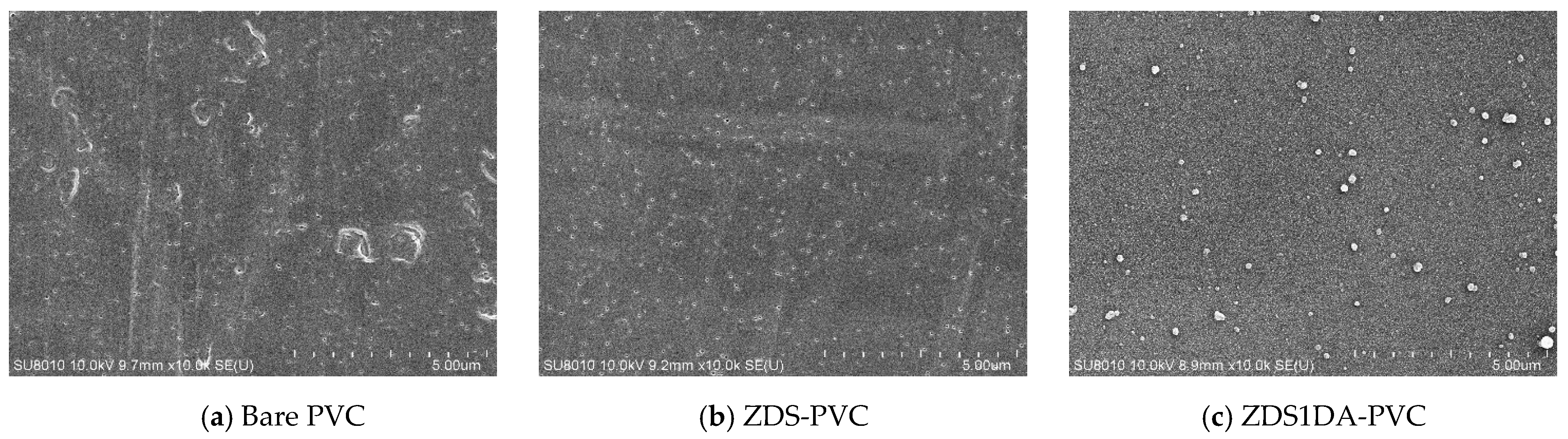 Polymers 17 02006 g003a