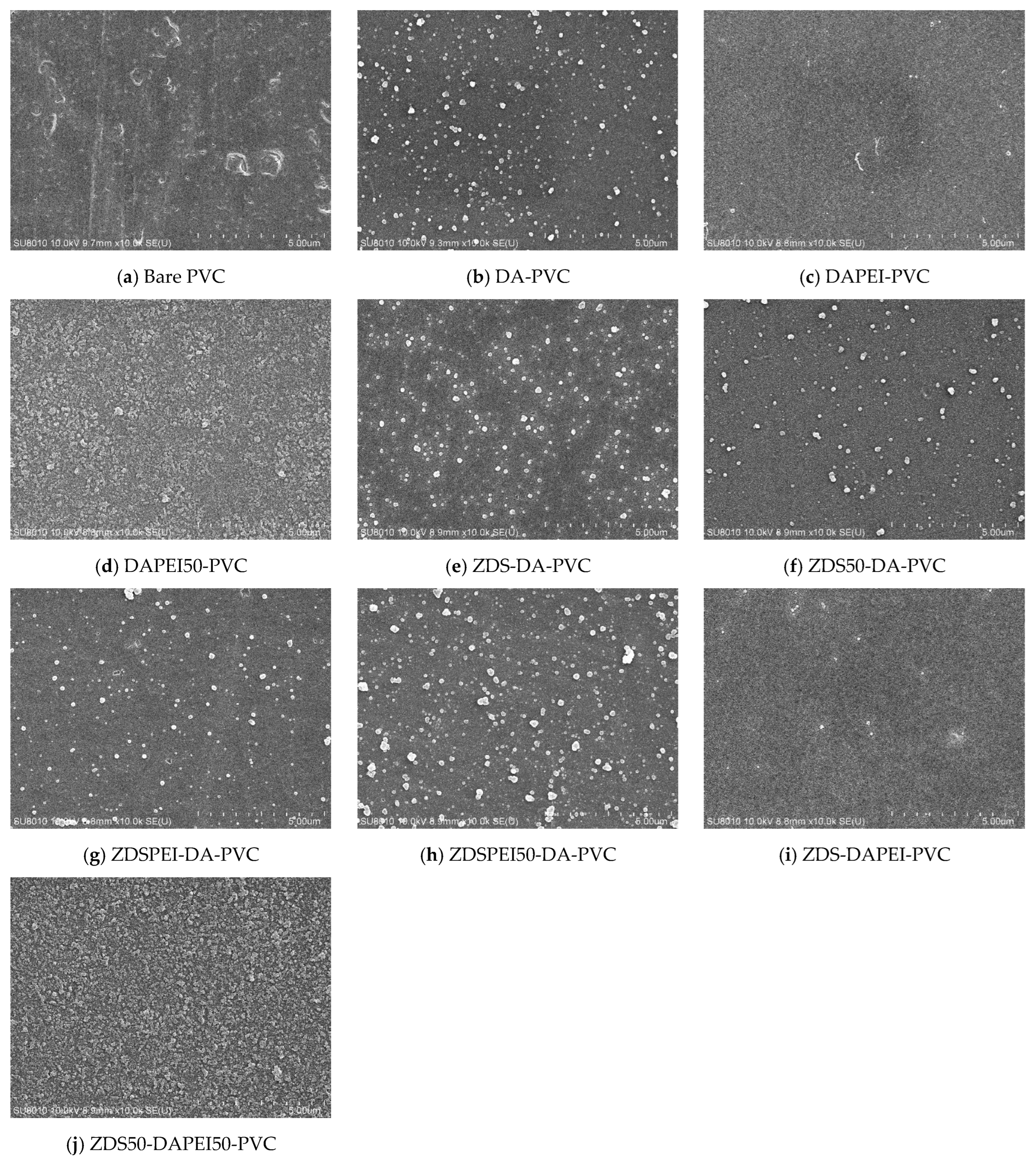 Polymers 17 02006 g004