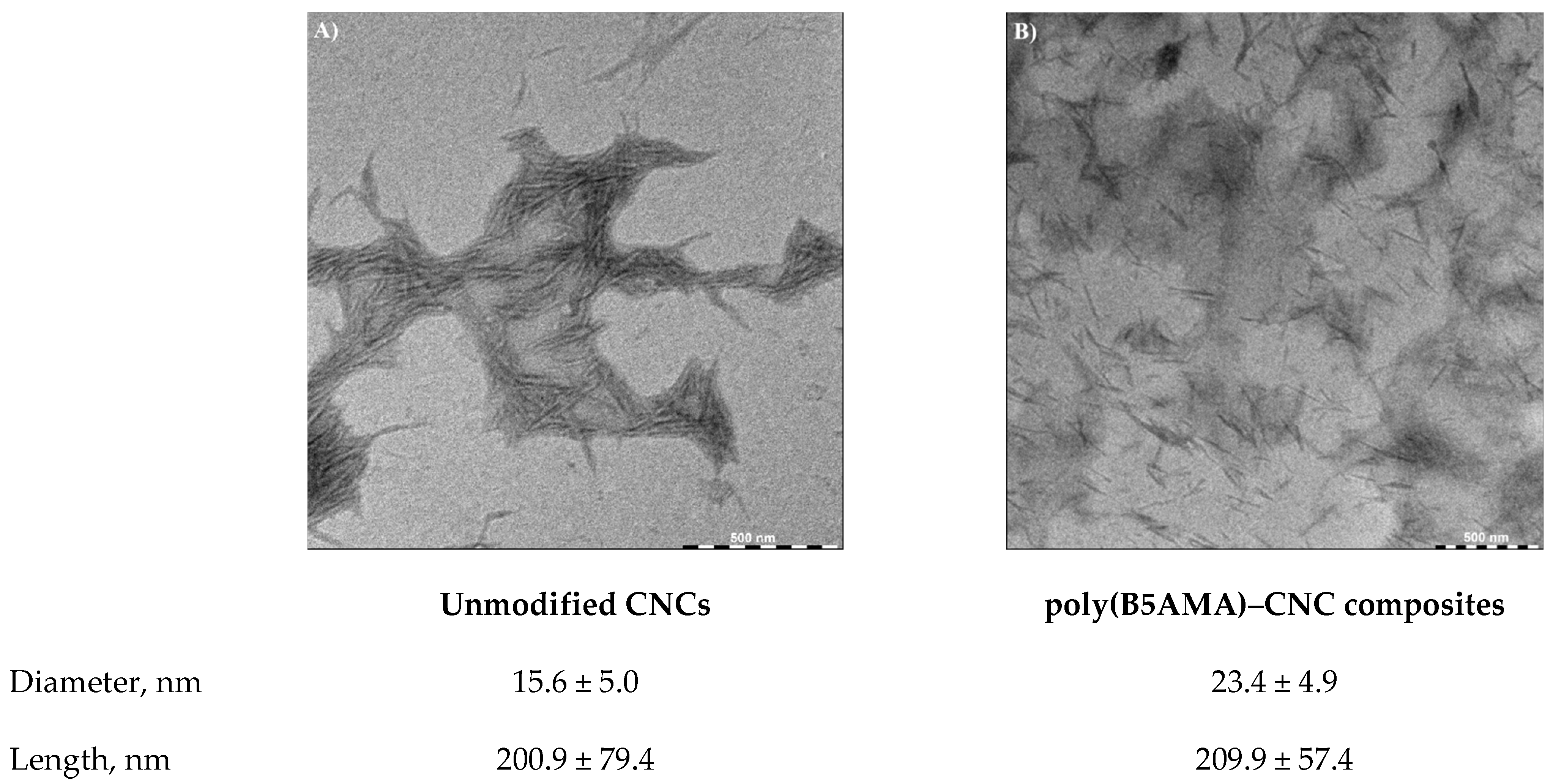 Polymers 17 02007 g002