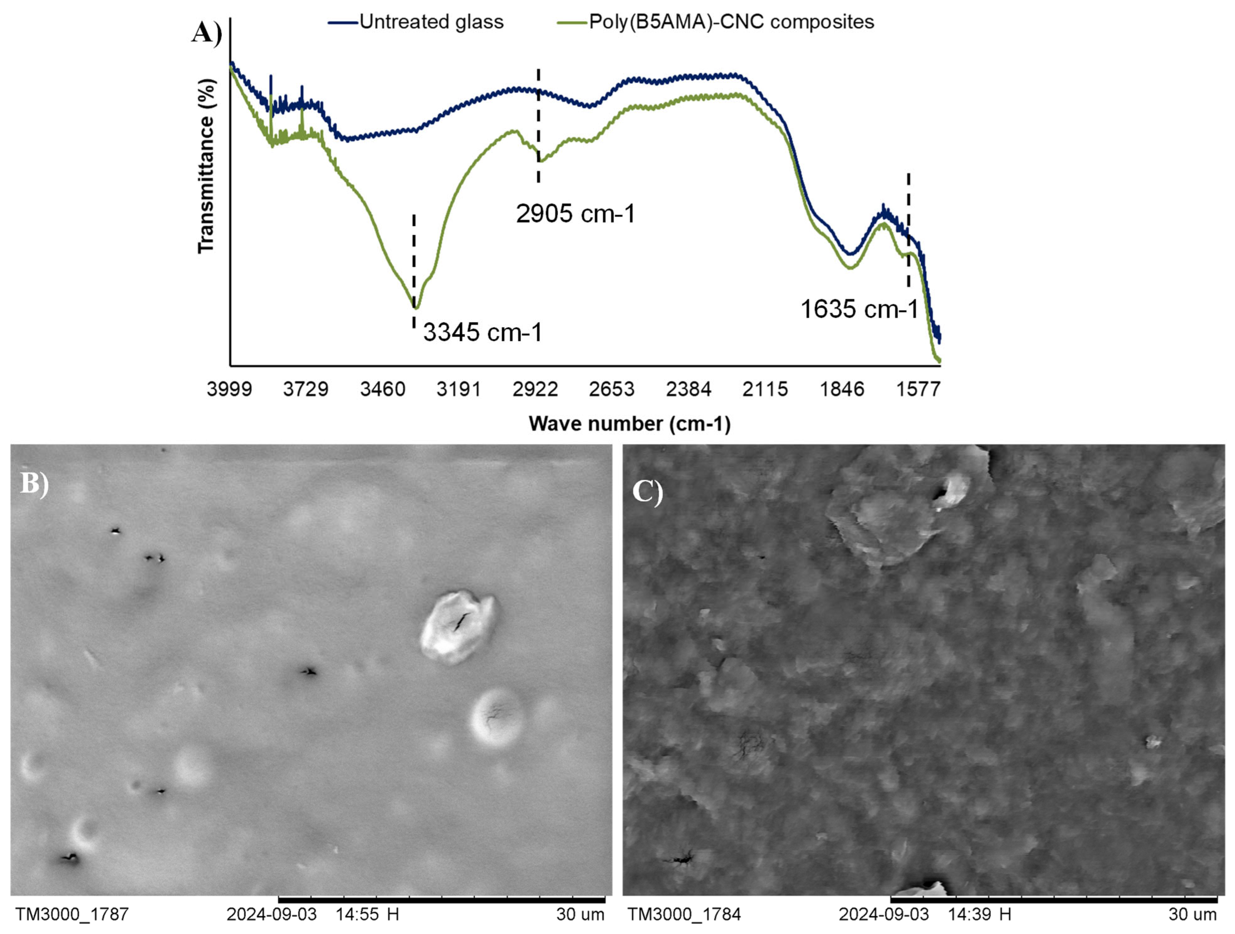 Polymers 17 02007 g004