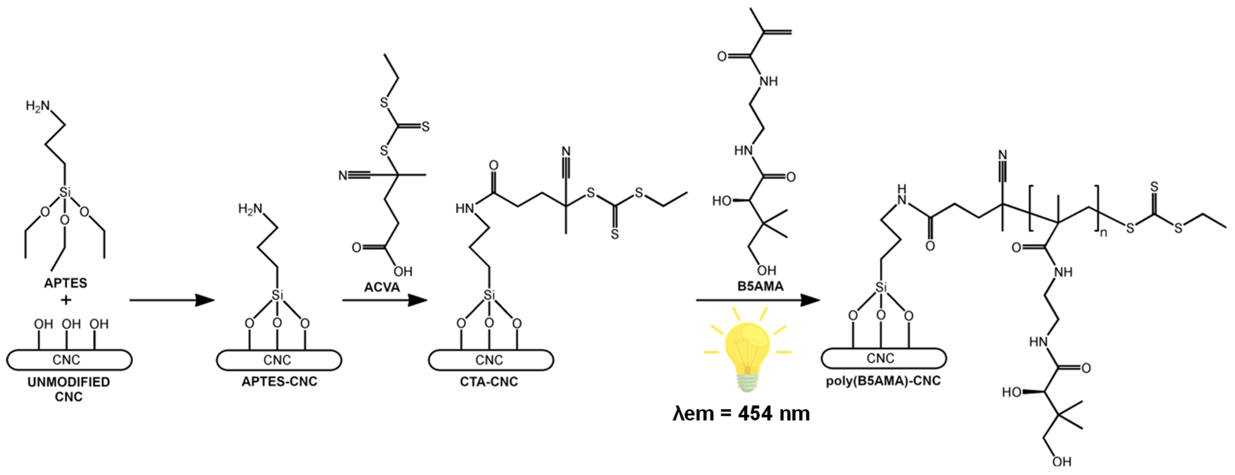 Polymers 17 02007 sch001