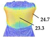 Polymers 17 02013 i002 Polymers 17 02013 i002