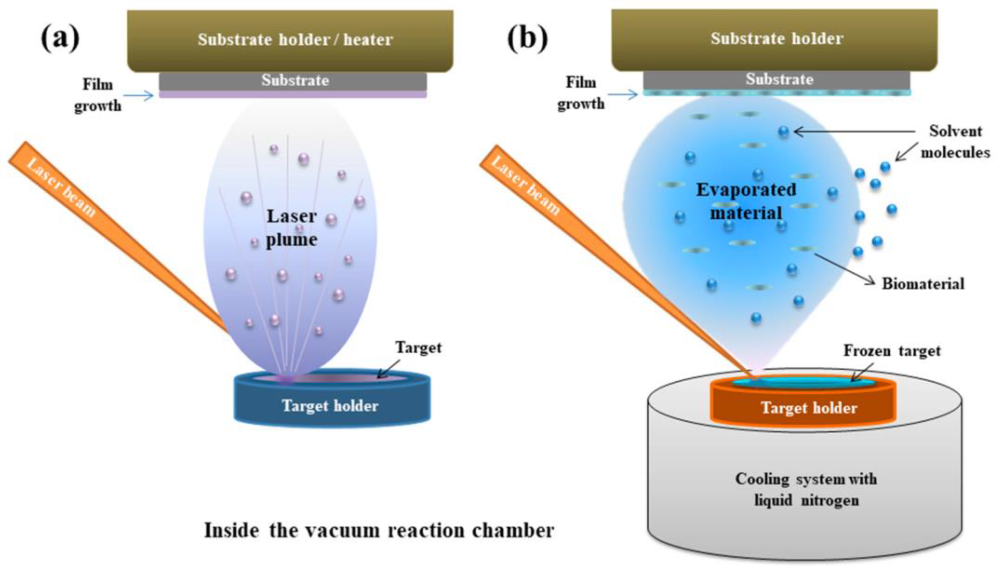 Polymers 17 02020 g002