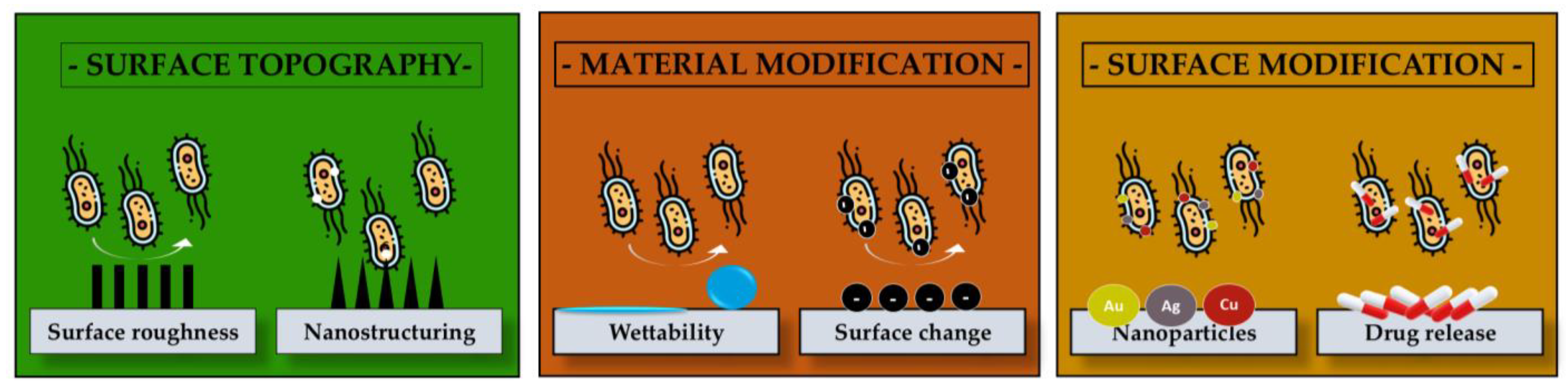 Polymers 17 02020 g005