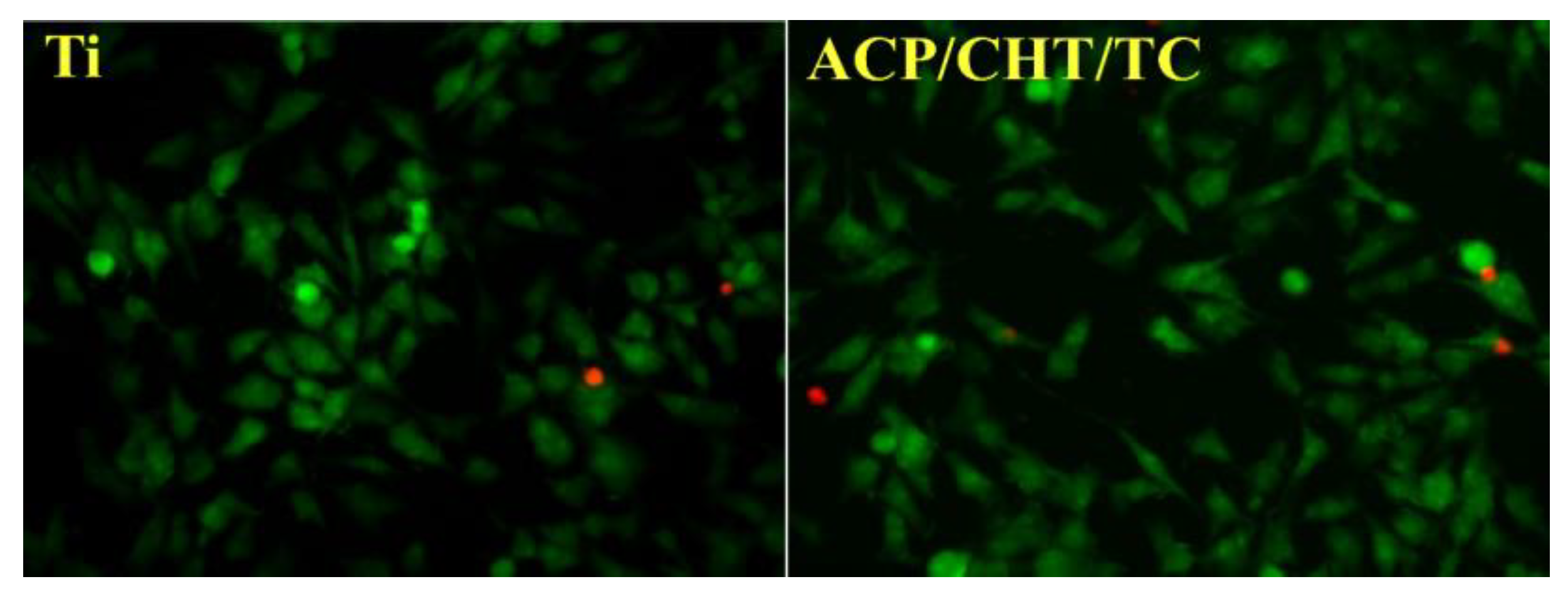Polymers 17 02020 g011
