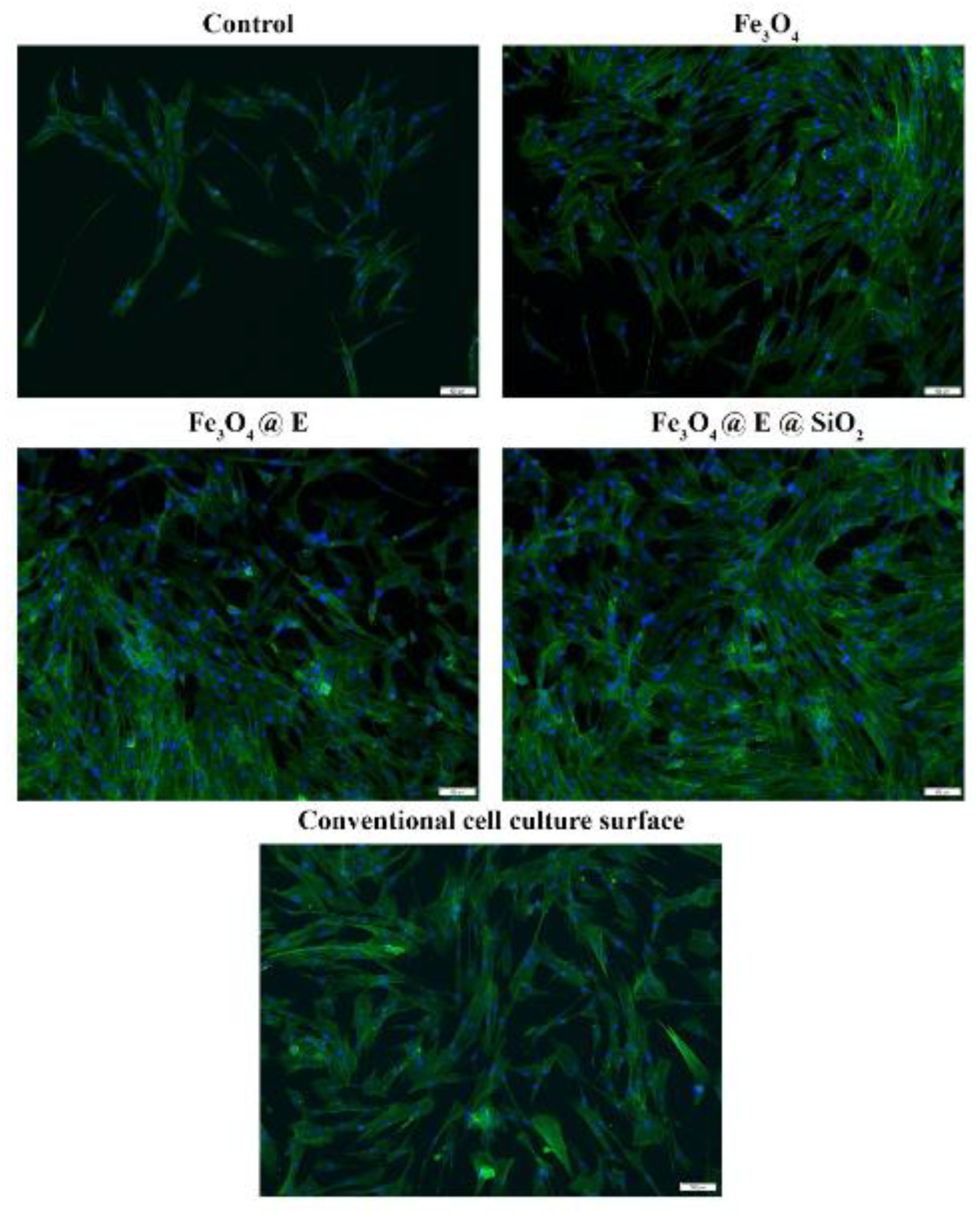 Polymers 17 02020 g012