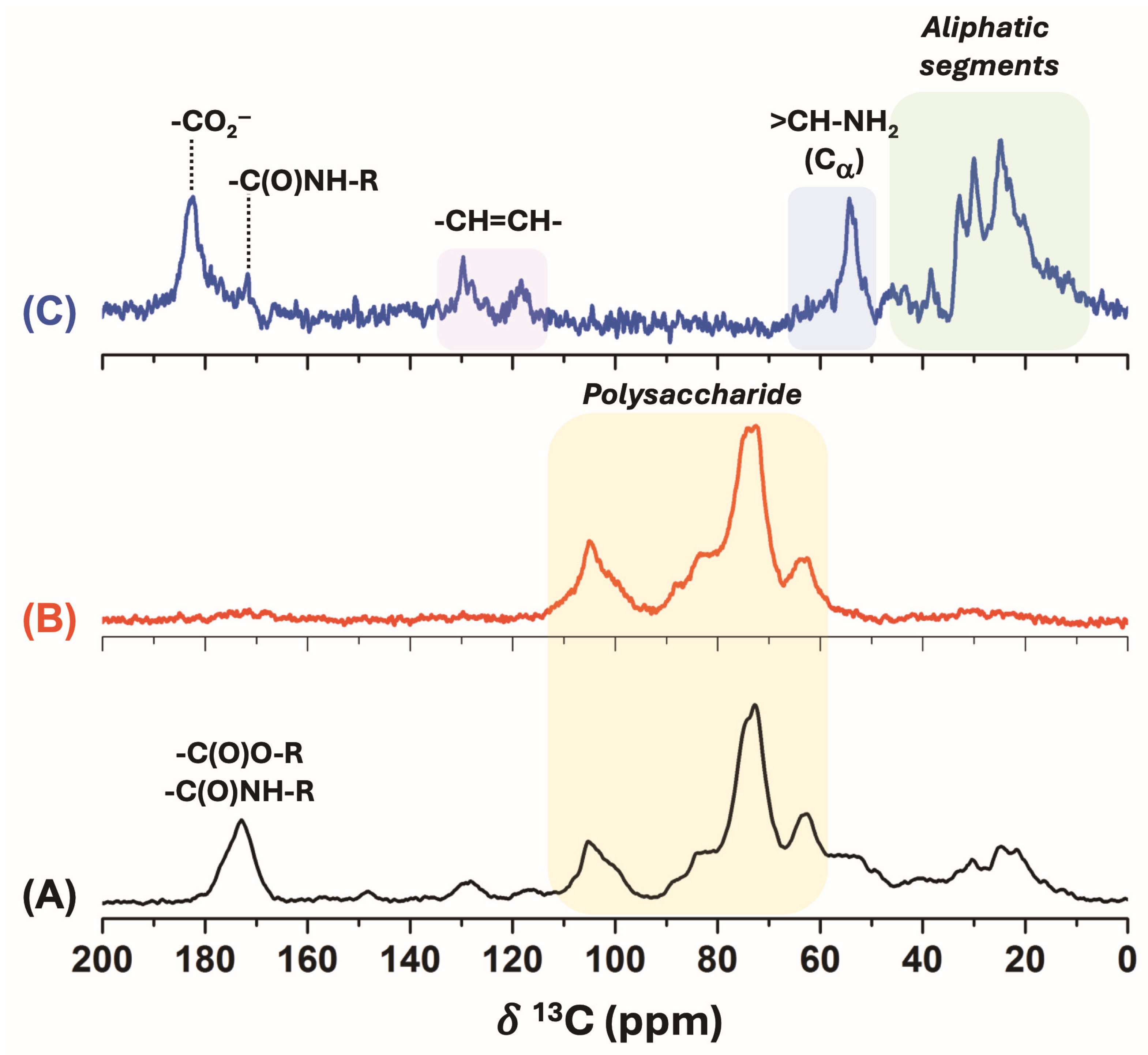 Polymers 17 02021 g001