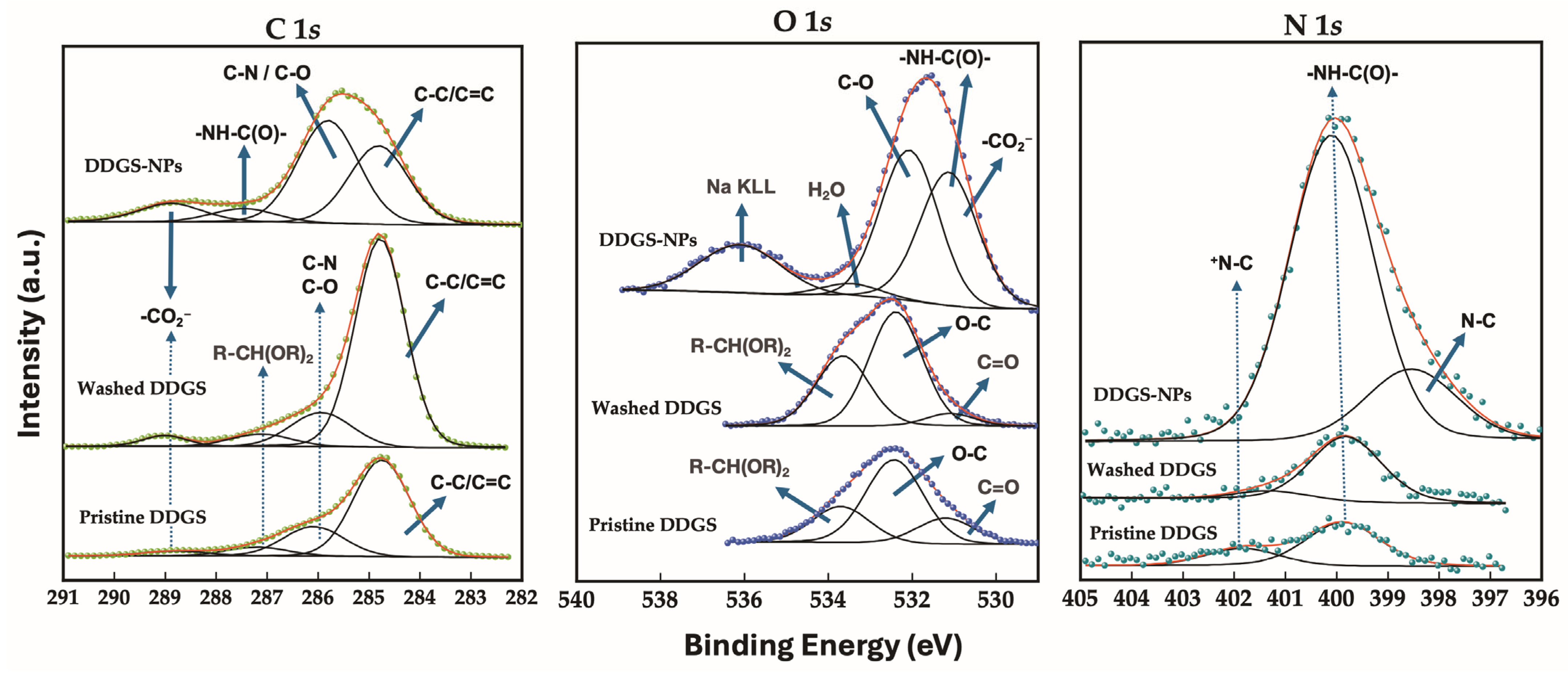 Polymers 17 02021 g004