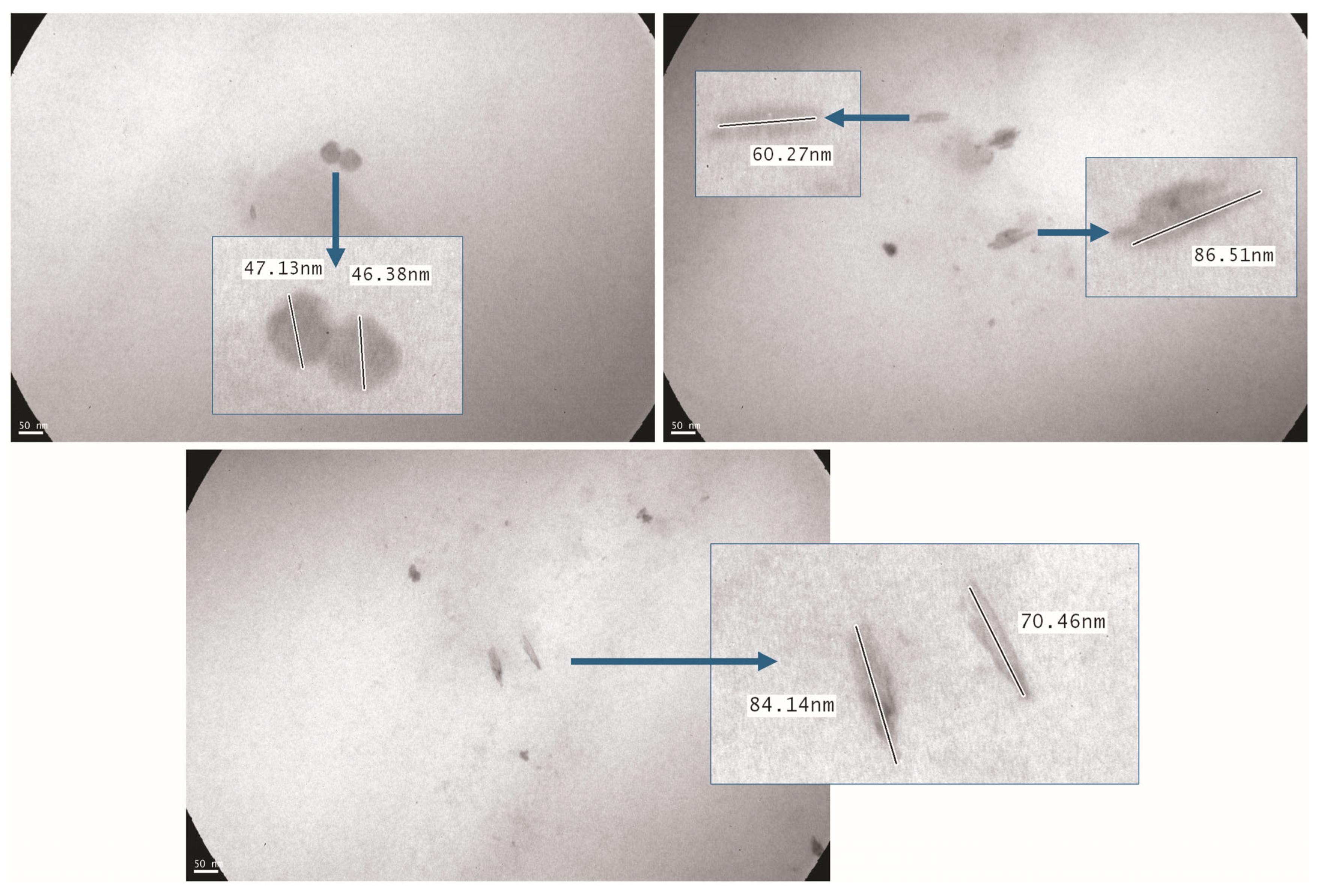Polymers 17 02021 g005