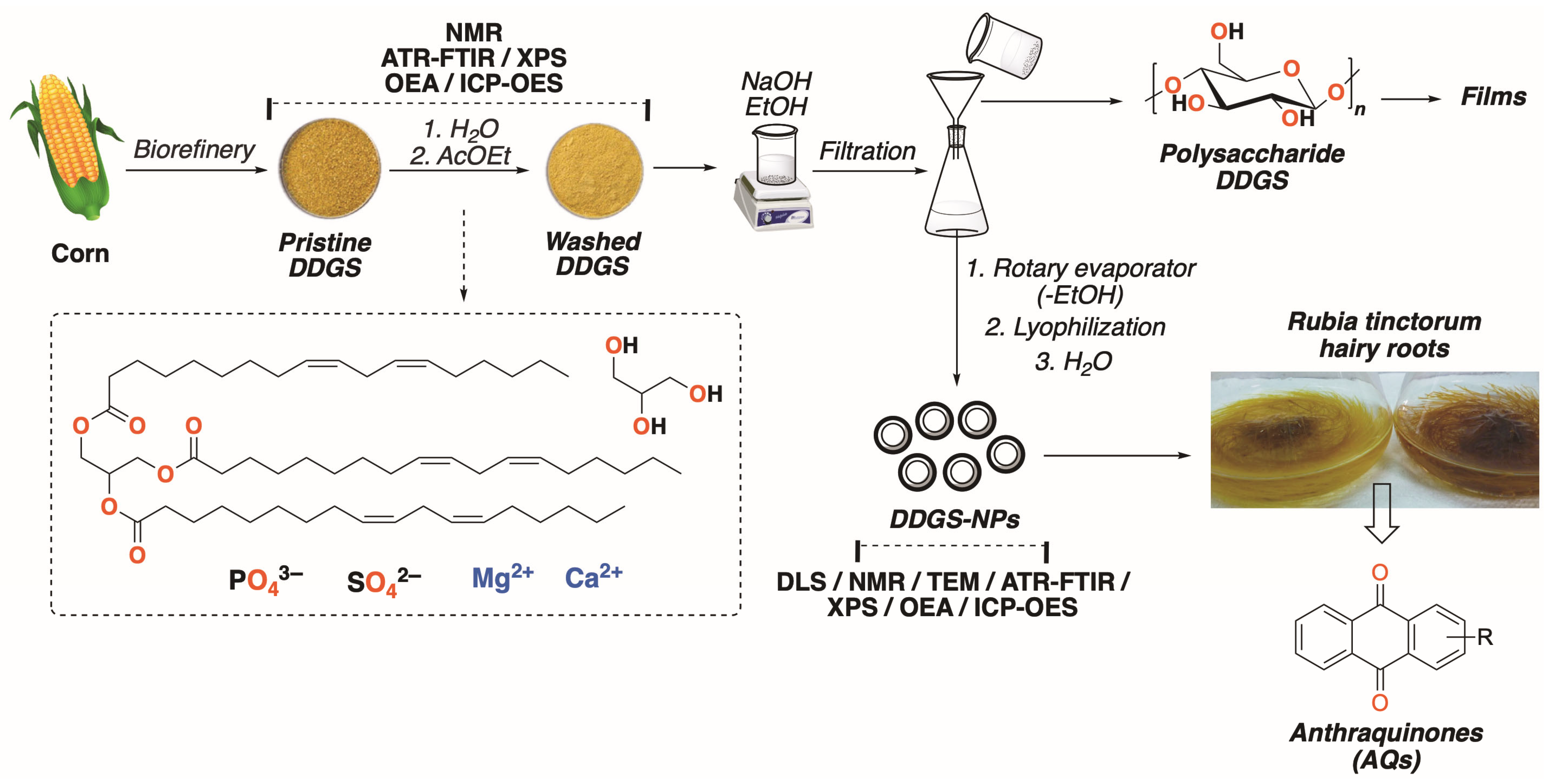 Polymers 17 02021 sch001