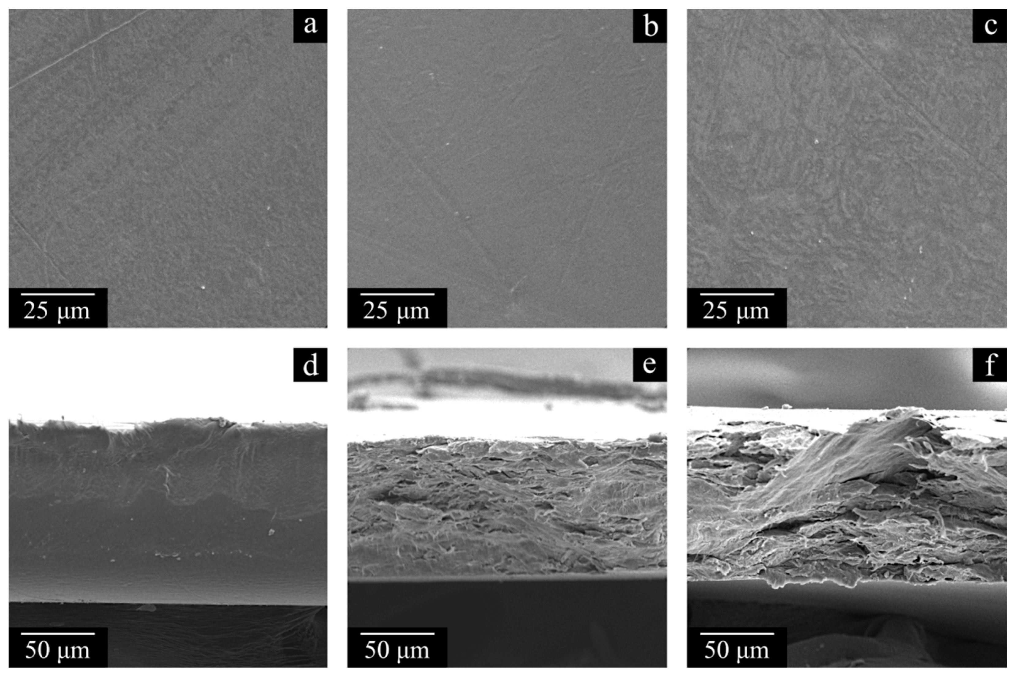 Polymers 17 02044 g006