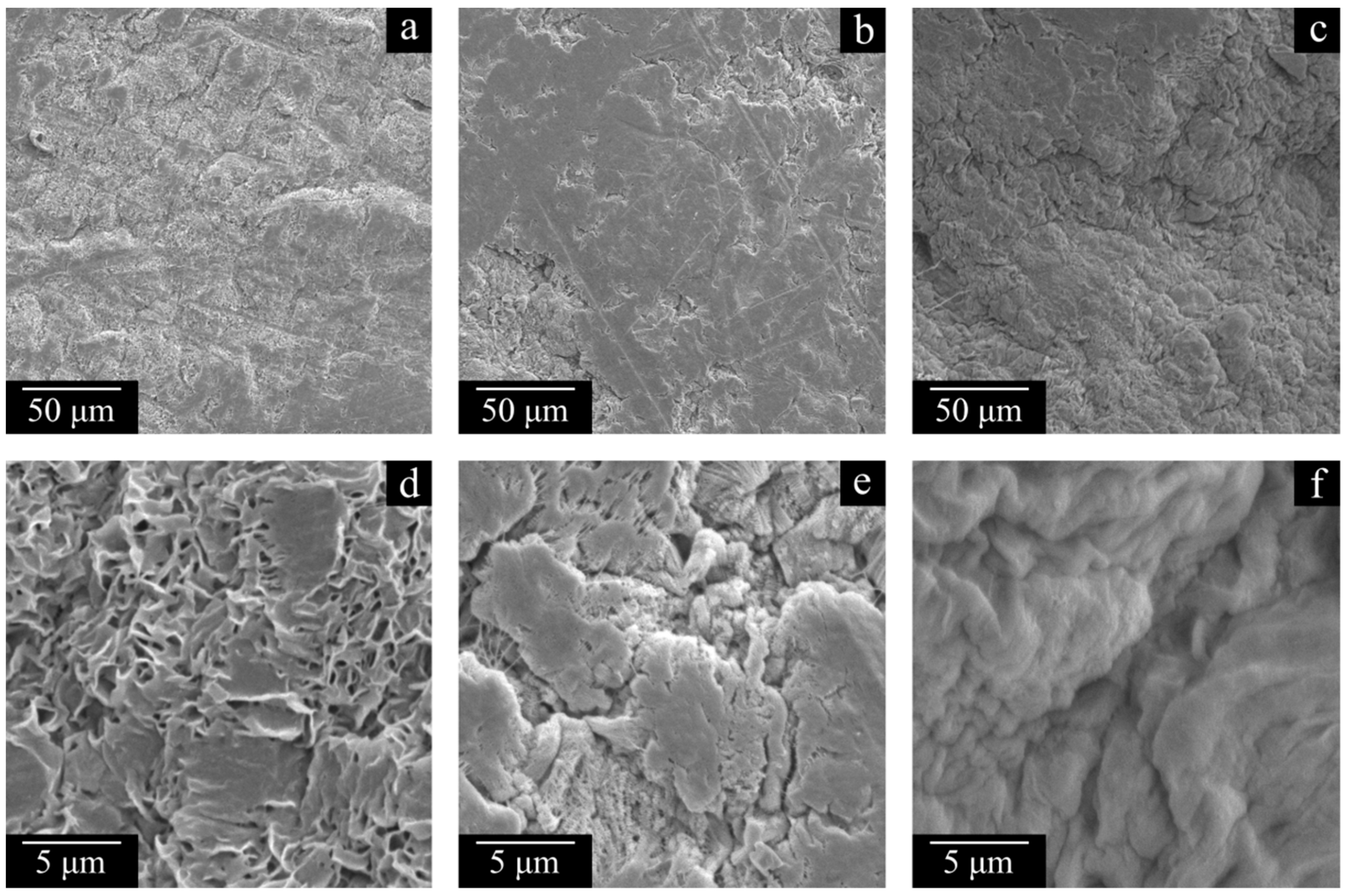 Polymers 17 02044 g008