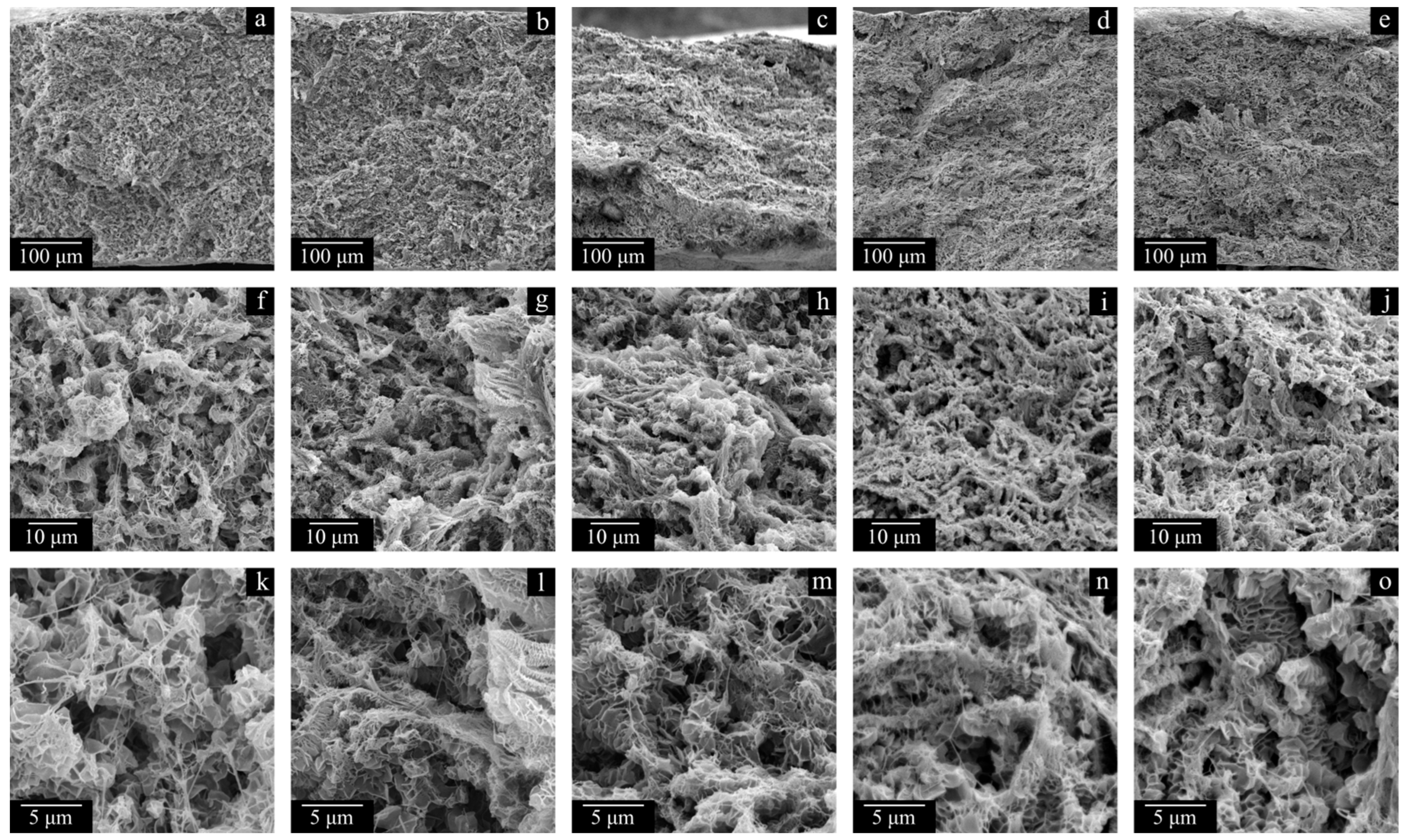 Polymers 17 02044 g011