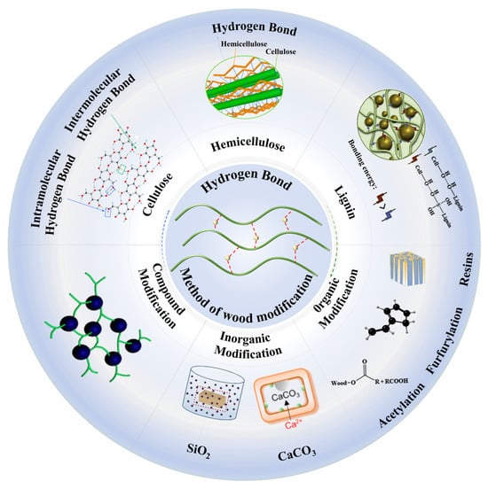Polymers 17 02064 g001