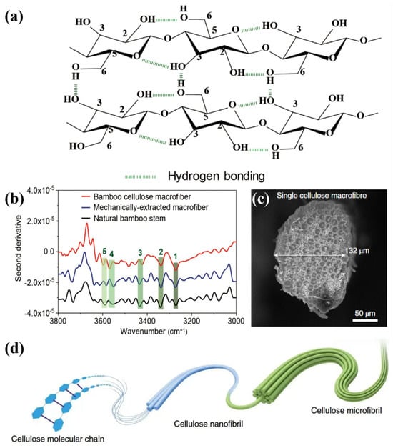 Polymers 17 02064 g005