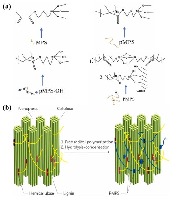 Polymers 17 02064 g008