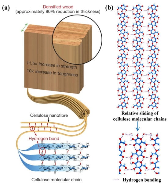 Polymers 17 02064 g009
