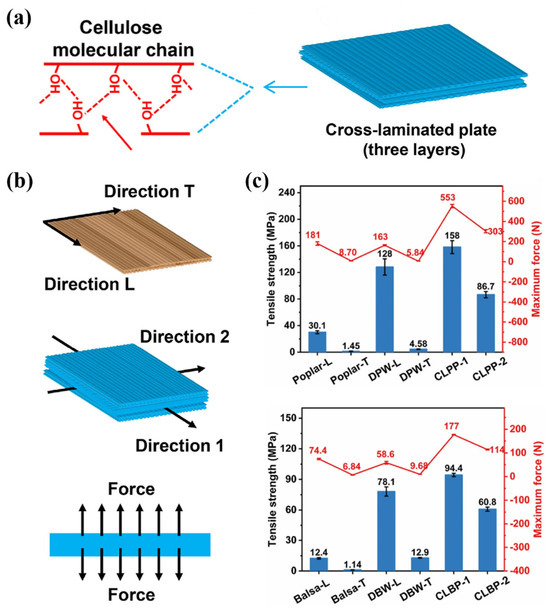 Polymers 17 02064 g010