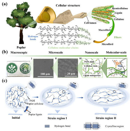 Polymers 17 02064 g011