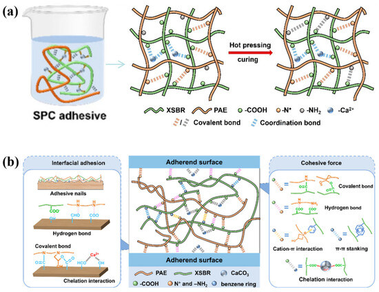 Polymers 17 02064 g013