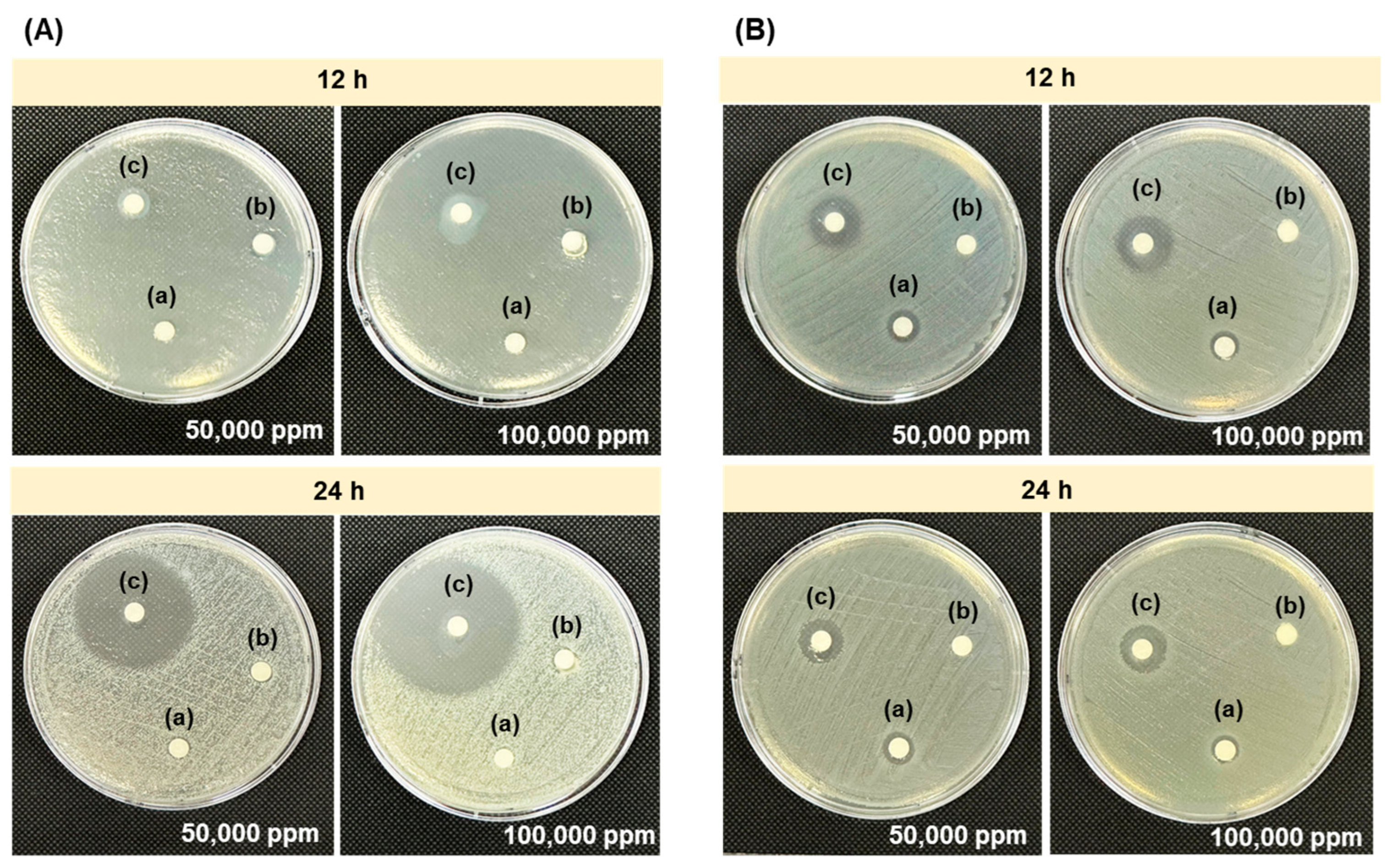 Polymers 17 02101 g004