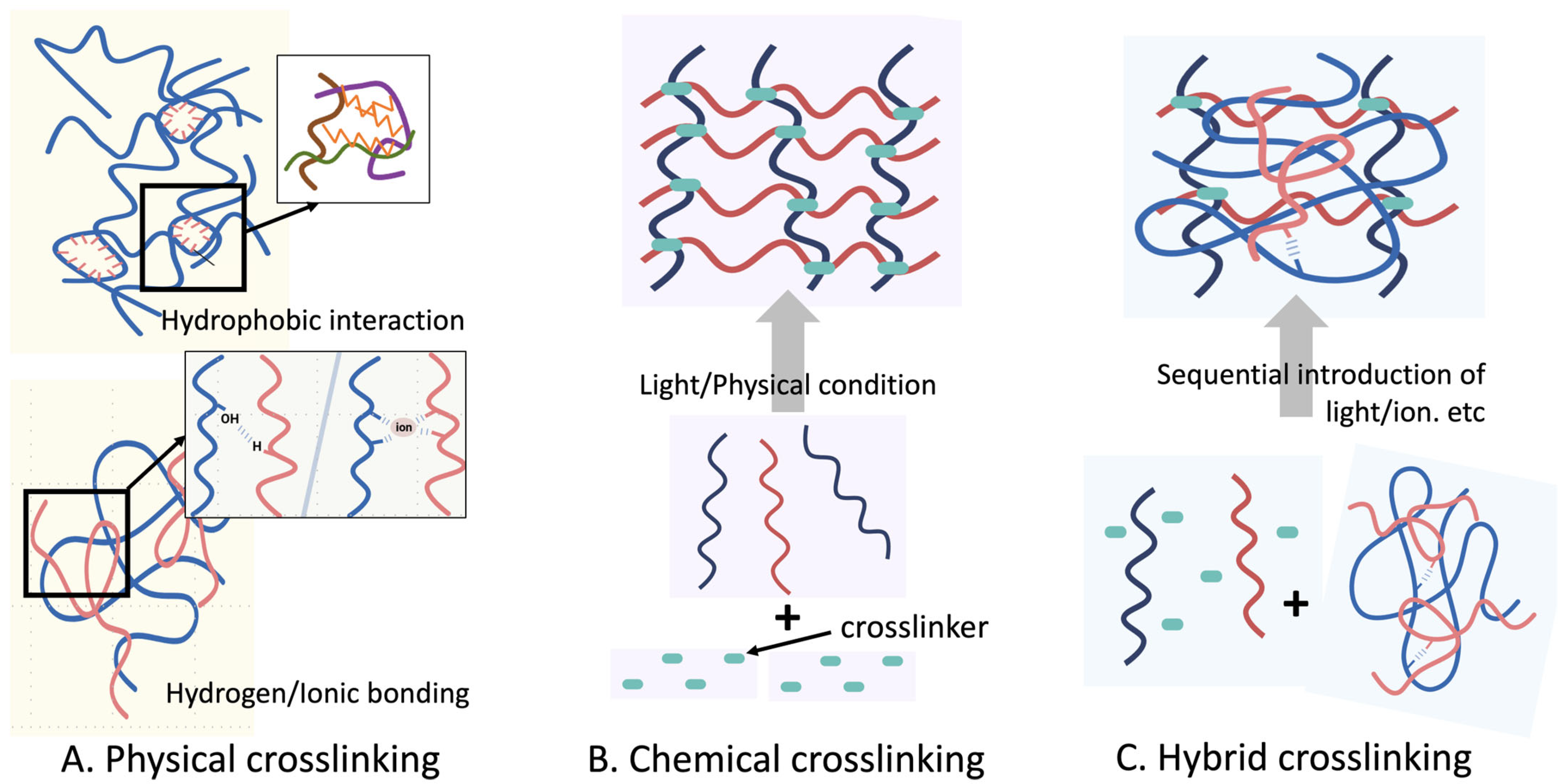 Natural Polymer-Based Hydrogel Platforms for Organoid and ...