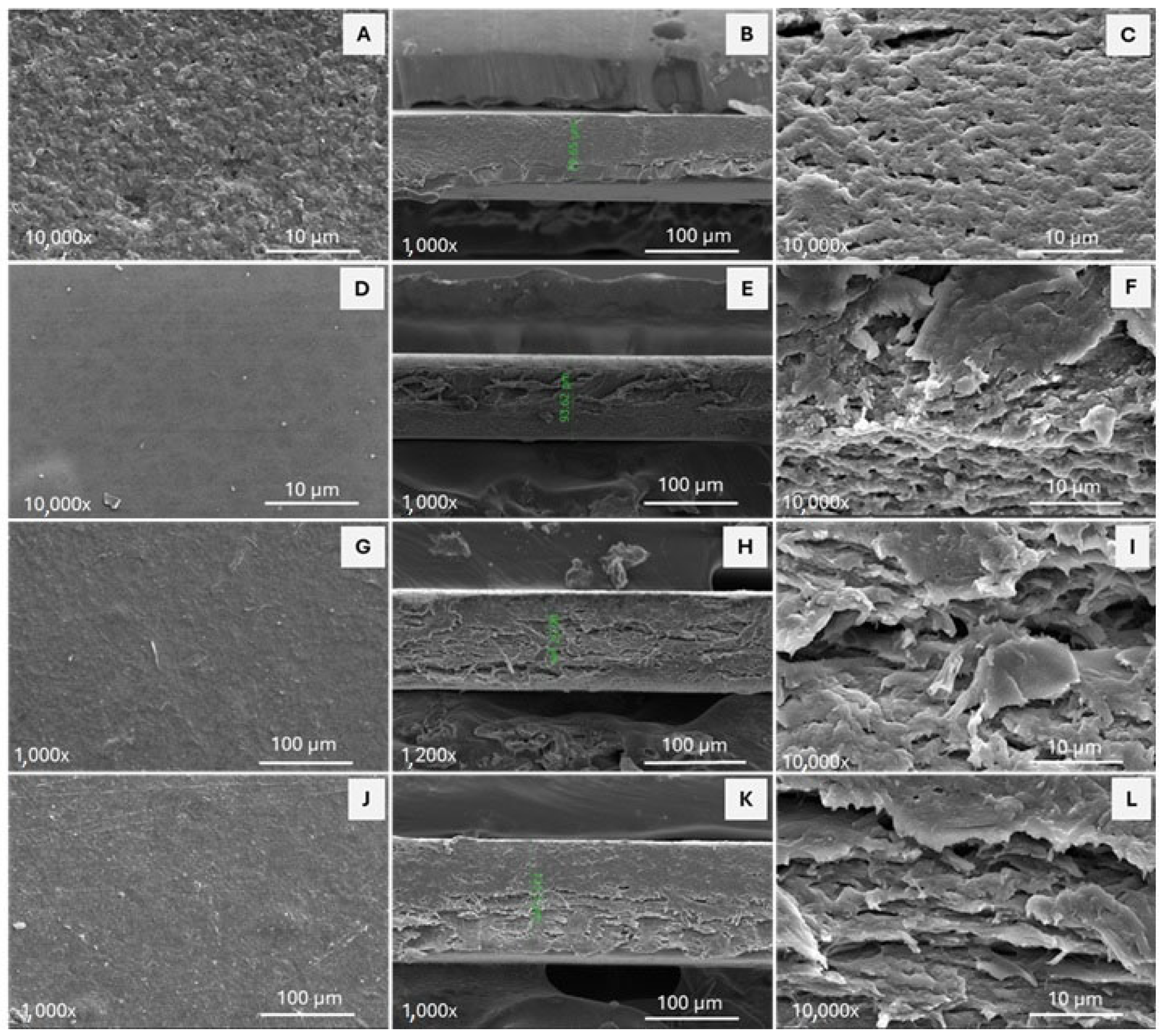 Polymers 17 02113 g004 Polymers 17 02113 g004