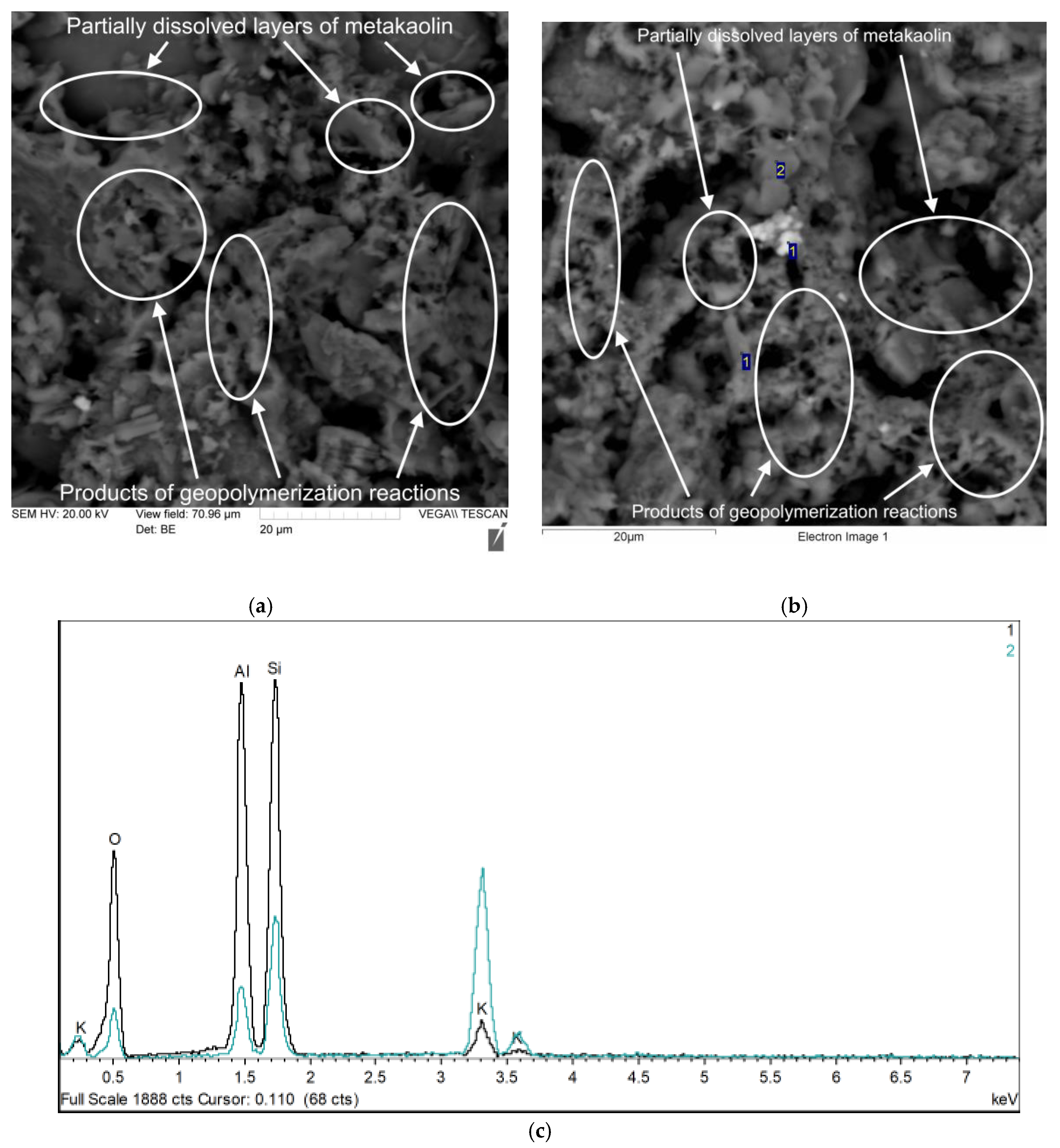 Polymers 17 02119 g008