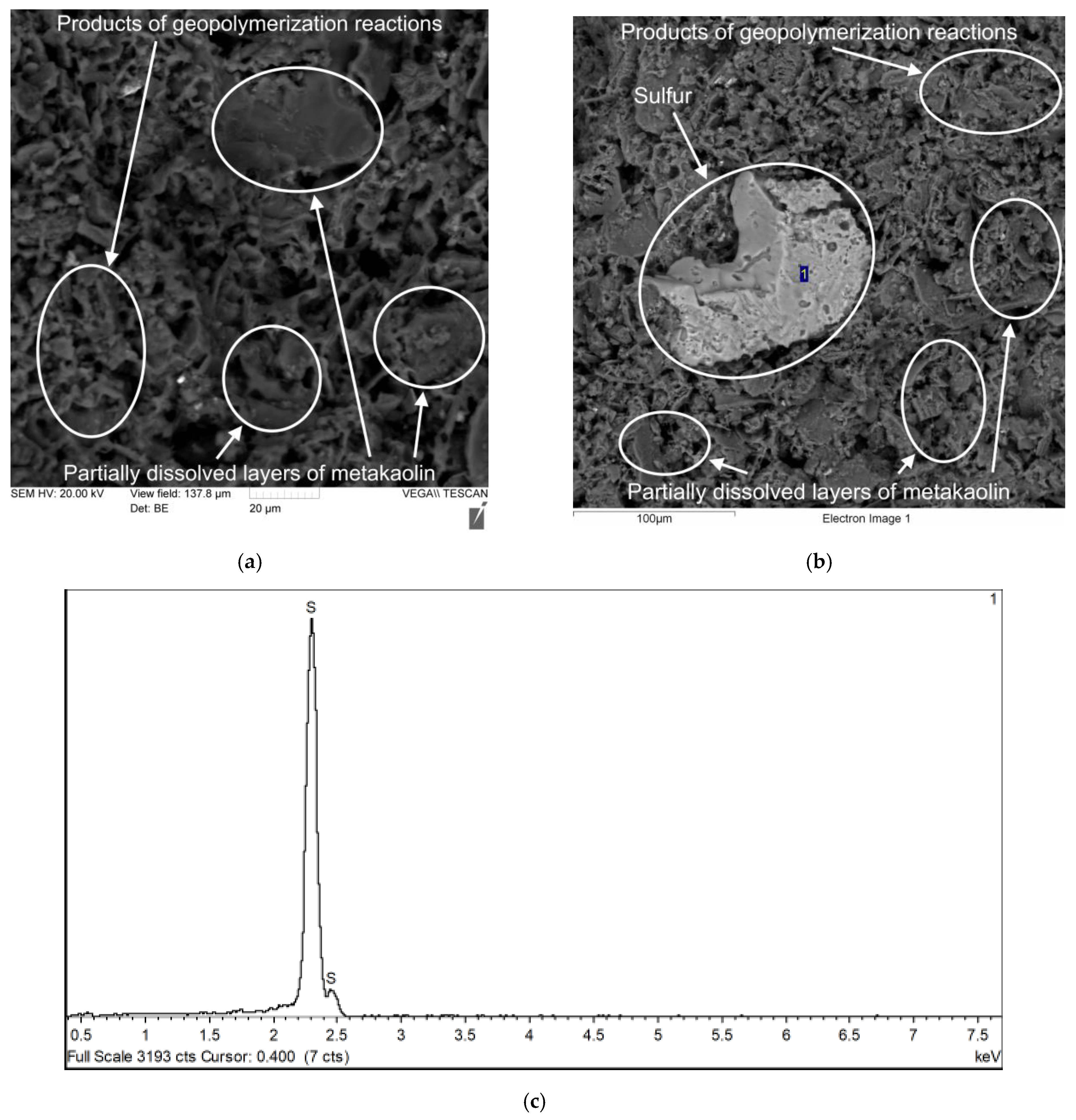 Polymers 17 02119 g011
