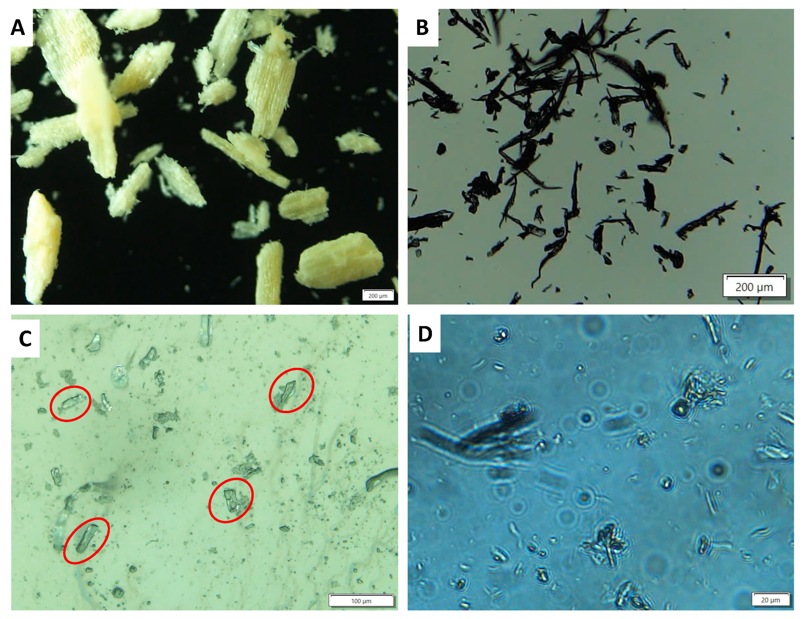 Polymers 17 02124 g002